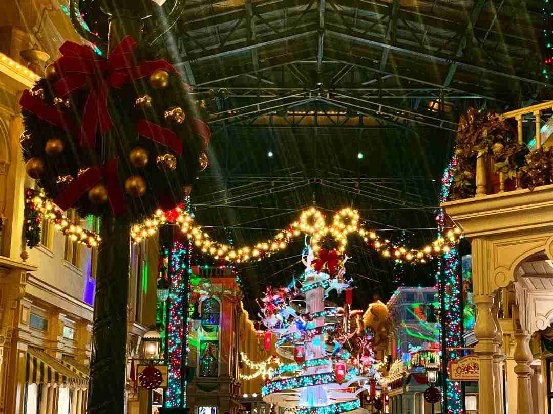 皆さんが撮ったディズニーランド&シーの写真を見せてください