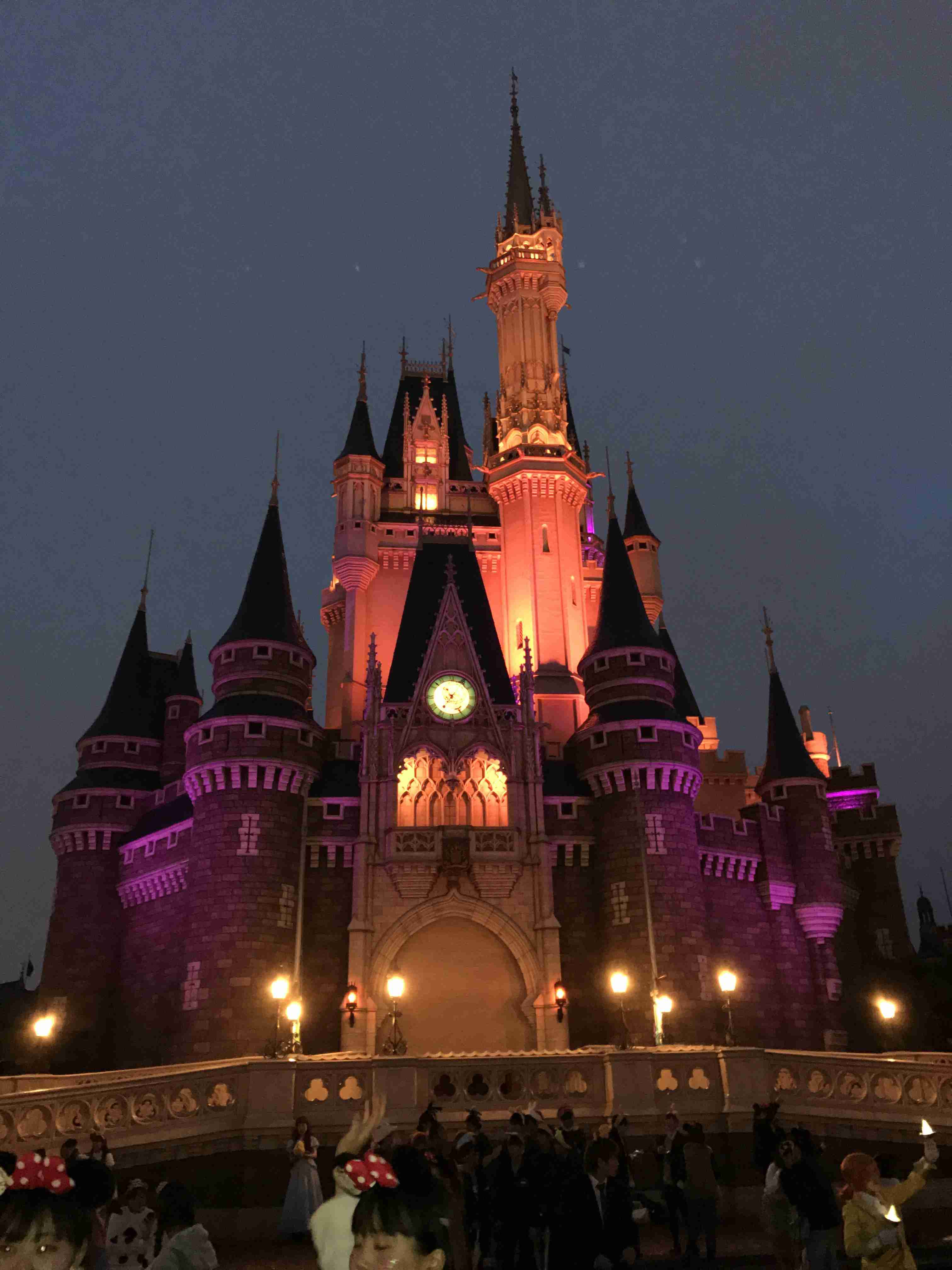 皆さんが撮ったディズニーランド&シーの写真を見せてください