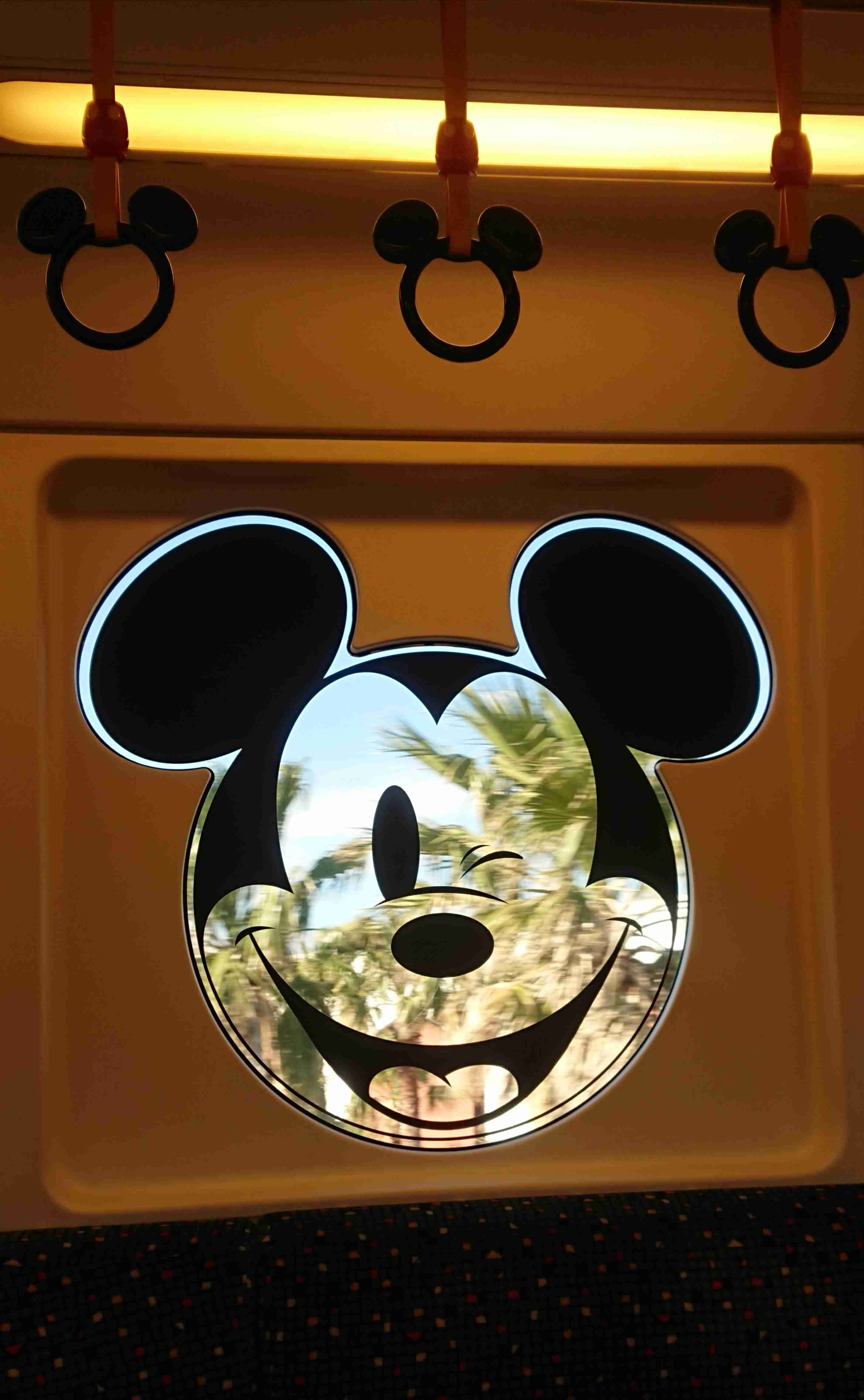 皆さんが撮ったディズニーランド&シーの写真を見せてください