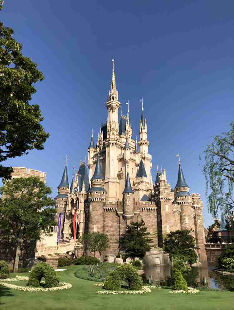 皆さんが撮ったディズニーランド&シーの写真を見せてください