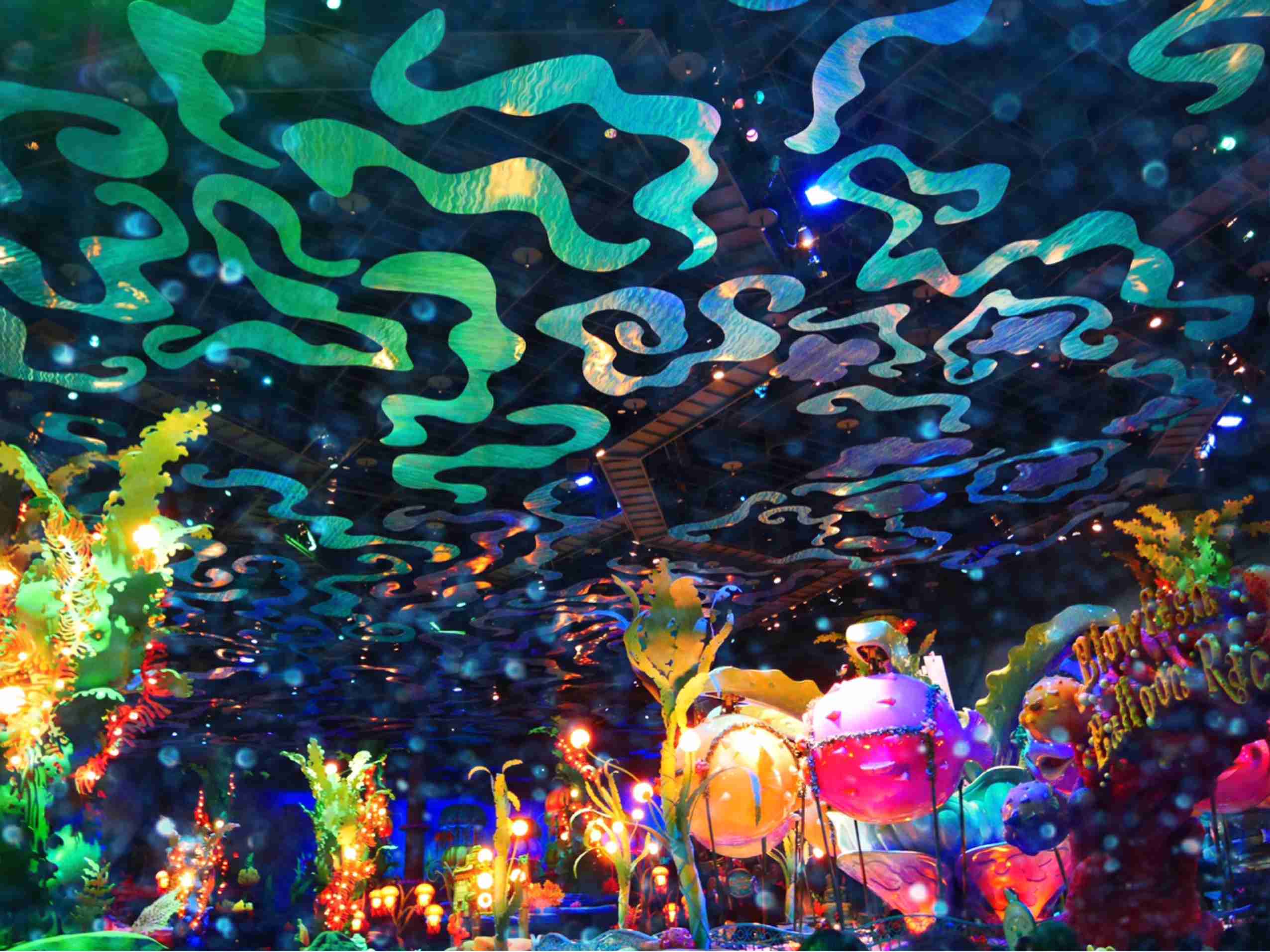 皆さんが撮ったディズニーランド&シーの写真を見せてください