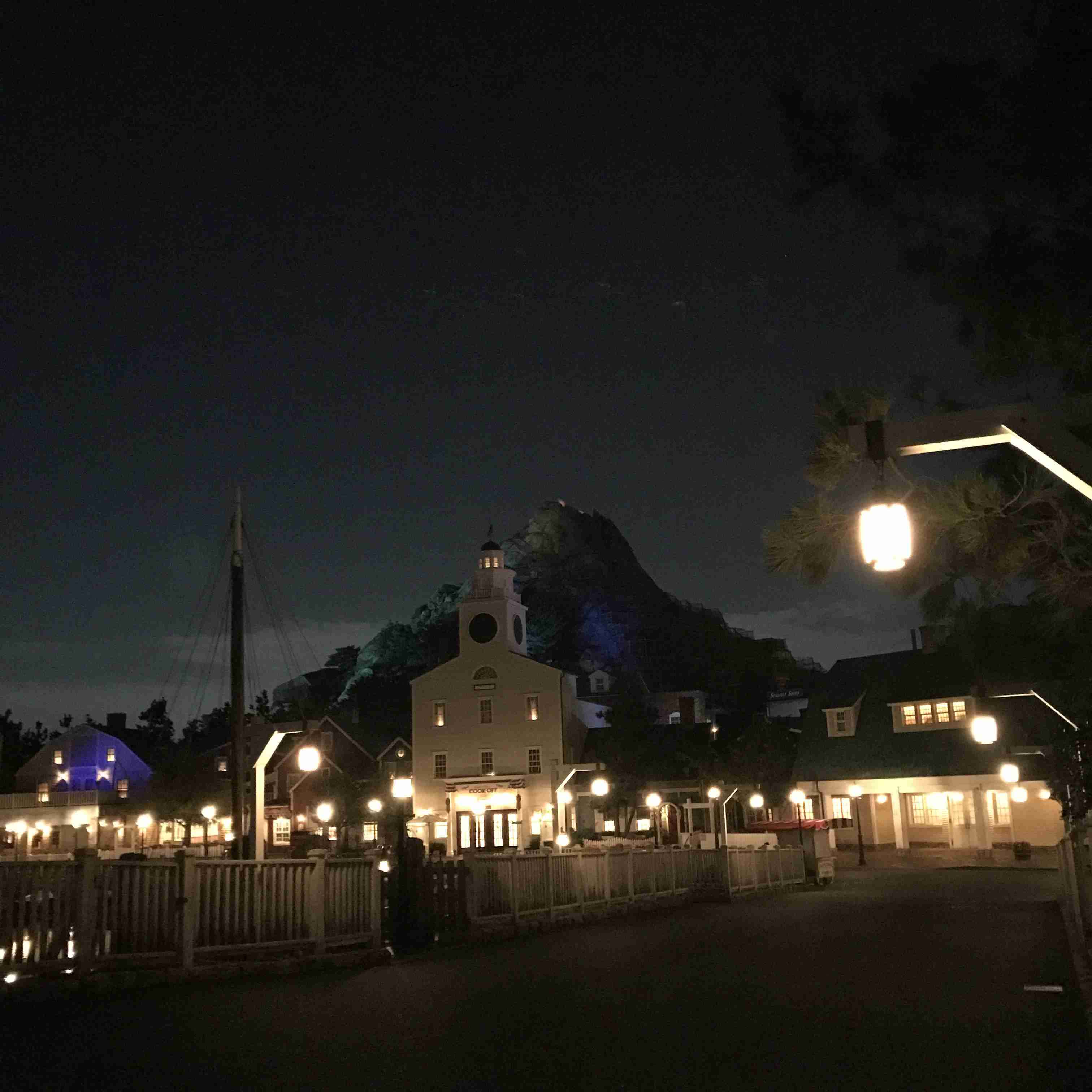 皆さんが撮ったディズニーランド&シーの写真を見せてください