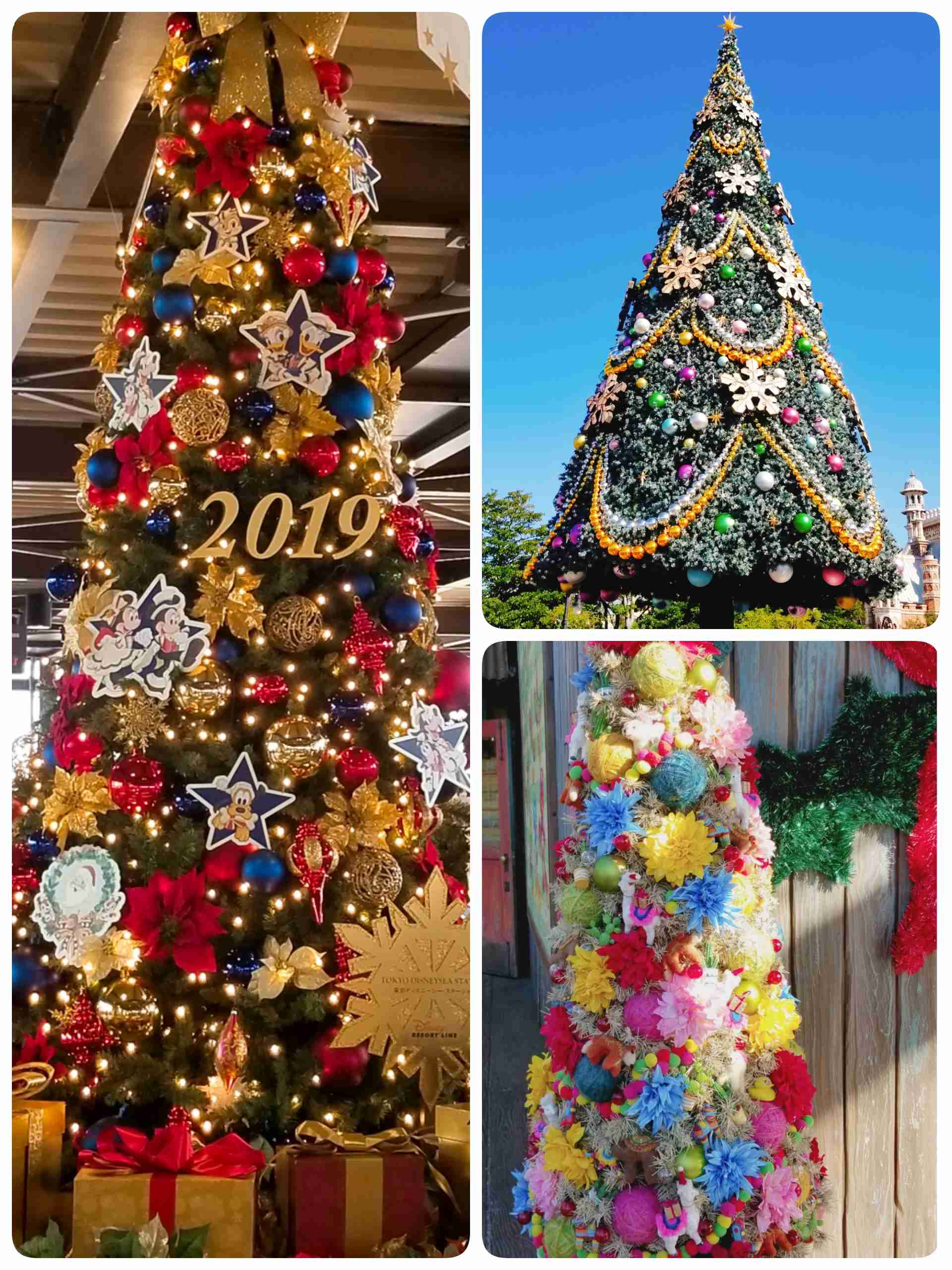 皆さんが撮ったディズニーランド&シーの写真を見せてください