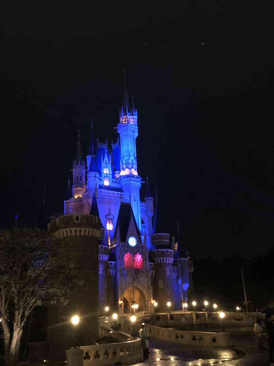 皆さんが撮ったディズニーランド&シーの写真を見せてください