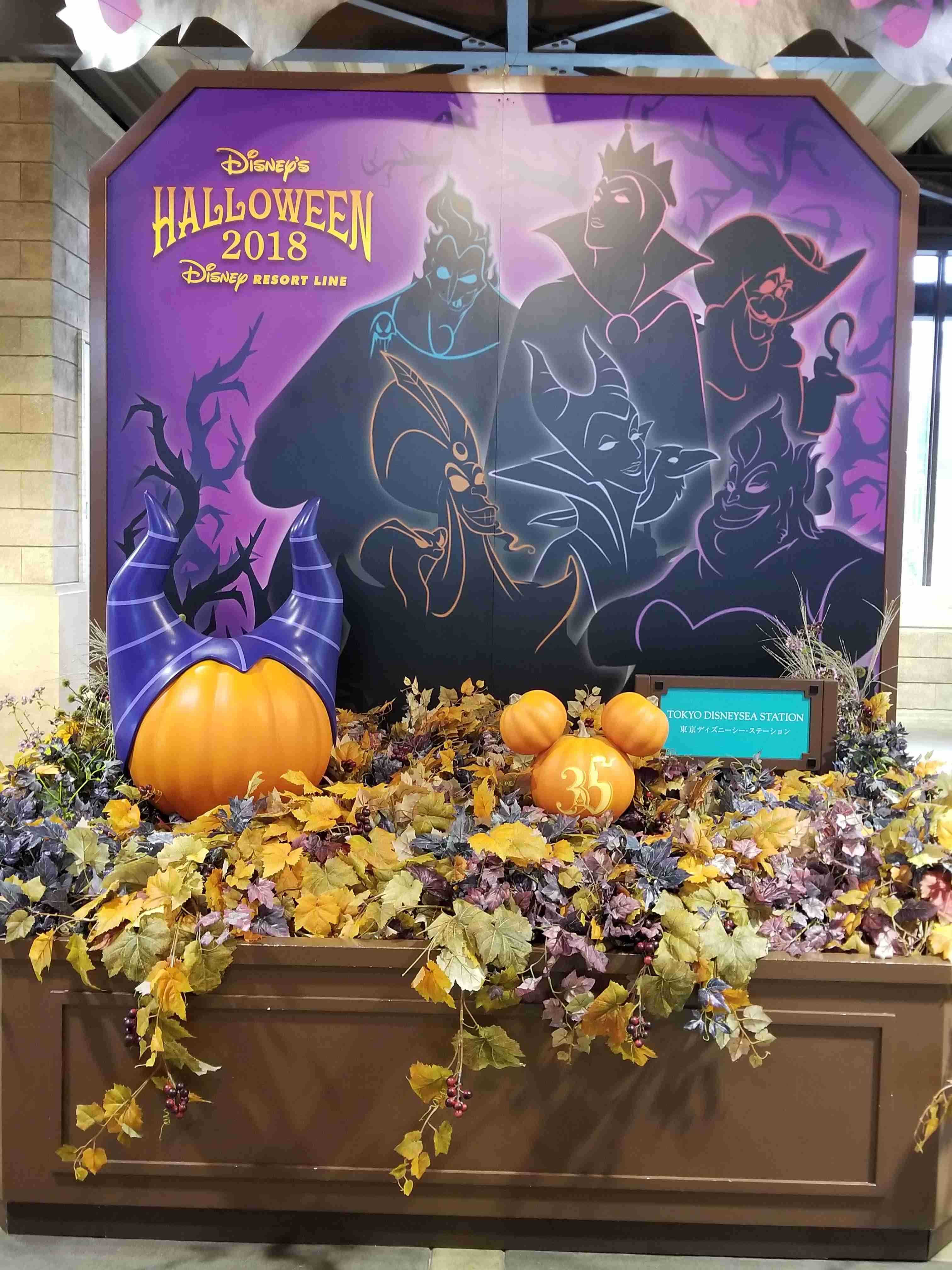 皆さんが撮ったディズニーランド&シーの写真を見せてください