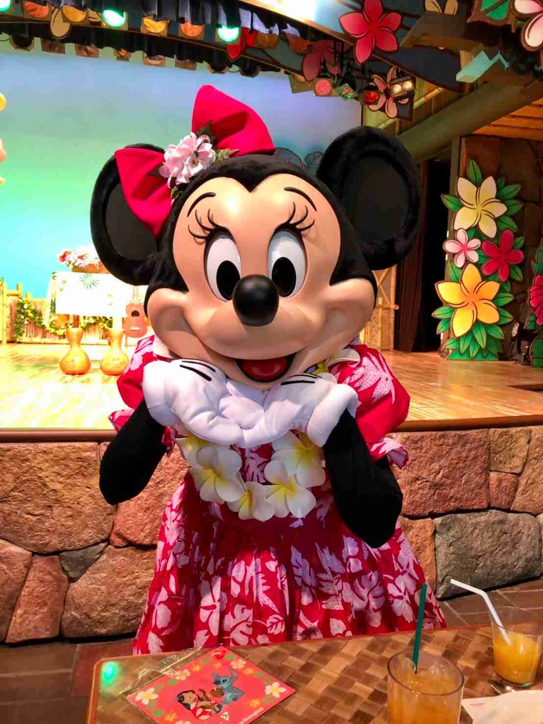 皆さんが撮ったディズニーランド&シーの写真を見せてください