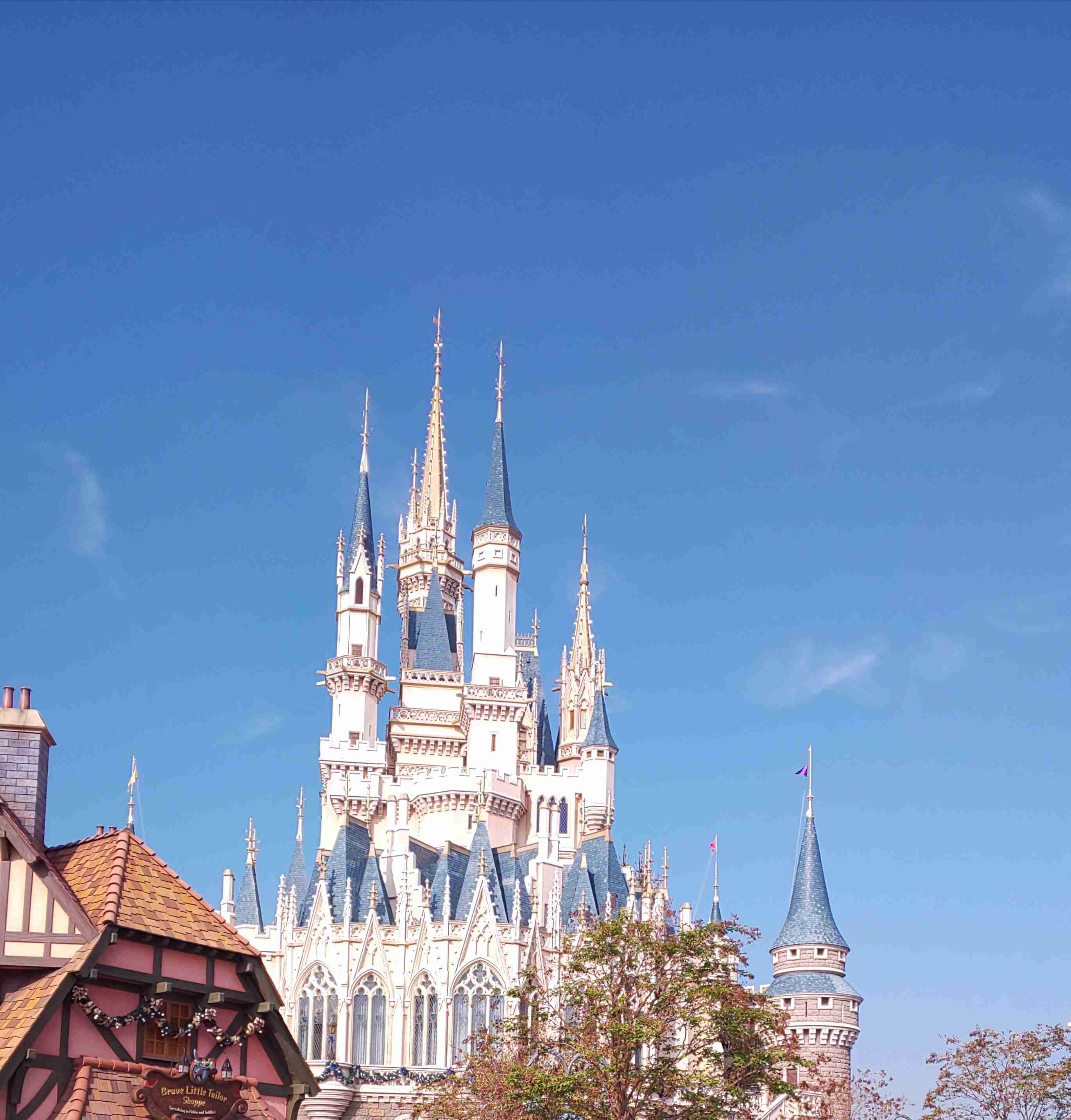 皆さんが撮ったディズニーランド&シーの写真を見せてください