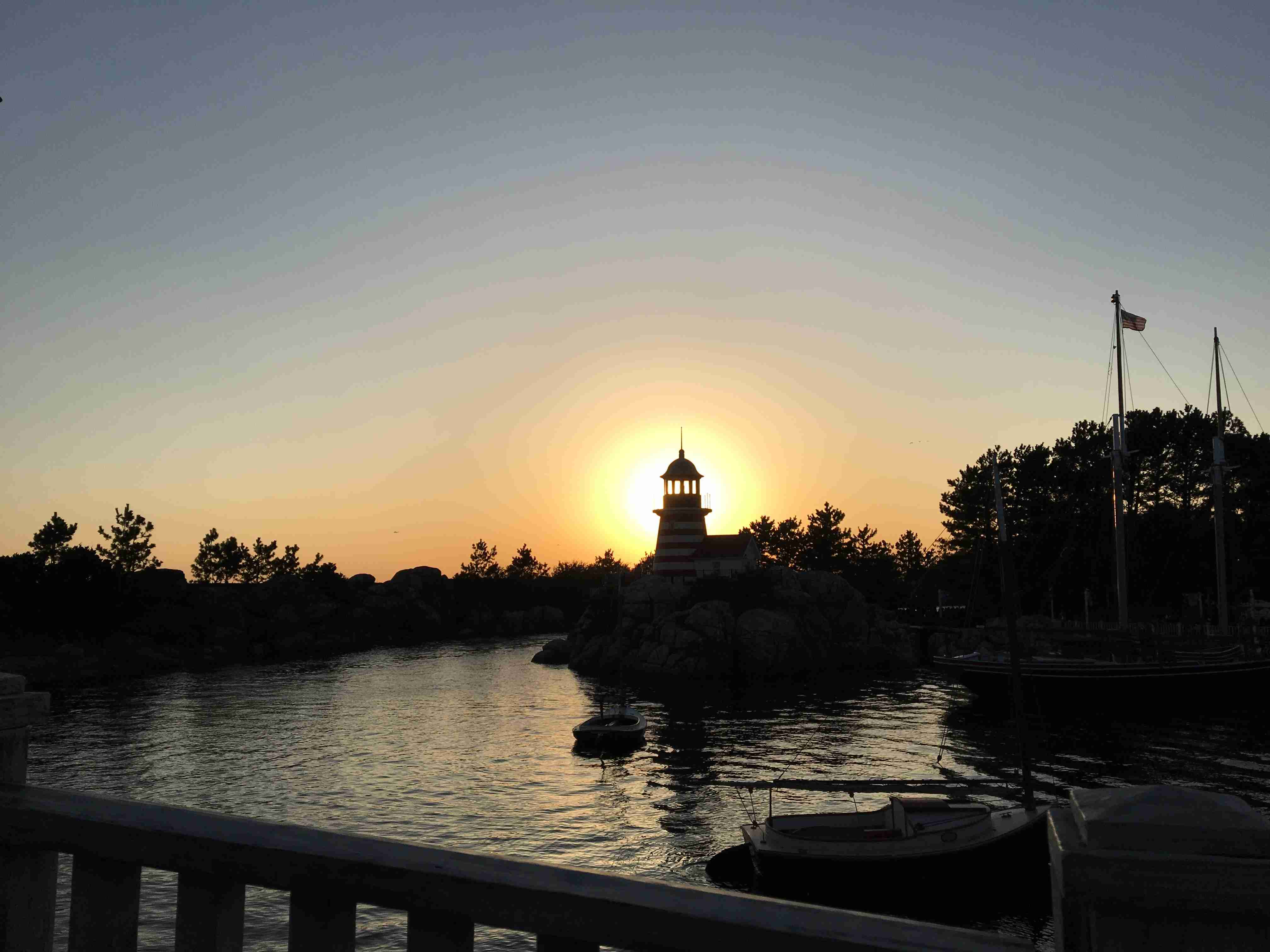 皆さんが撮ったディズニーランド&シーの写真を見せてください