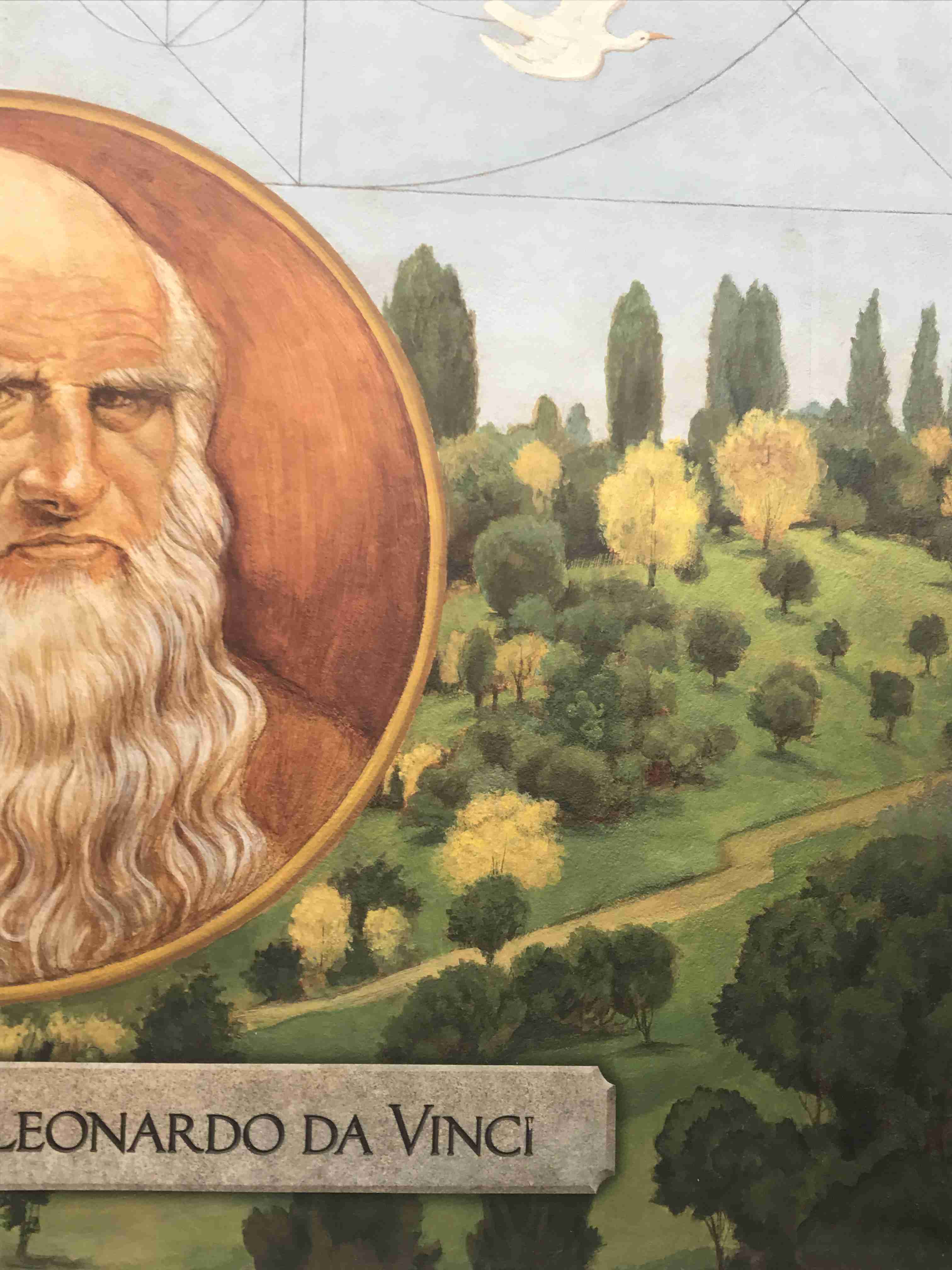 皆さんが撮ったディズニーランド&シーの写真を見せてください