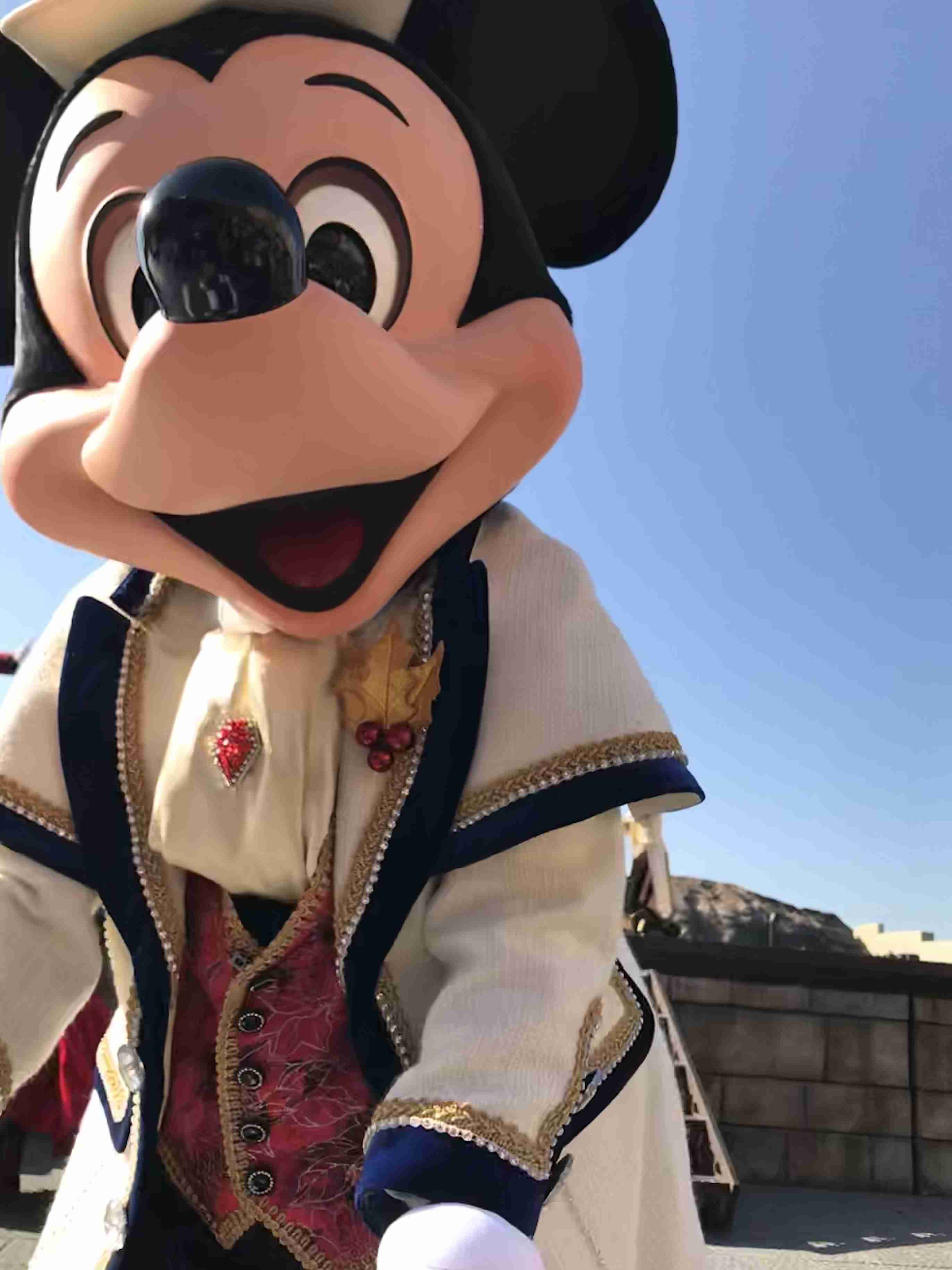 皆さんが撮ったディズニーランド&シーの写真を見せてください