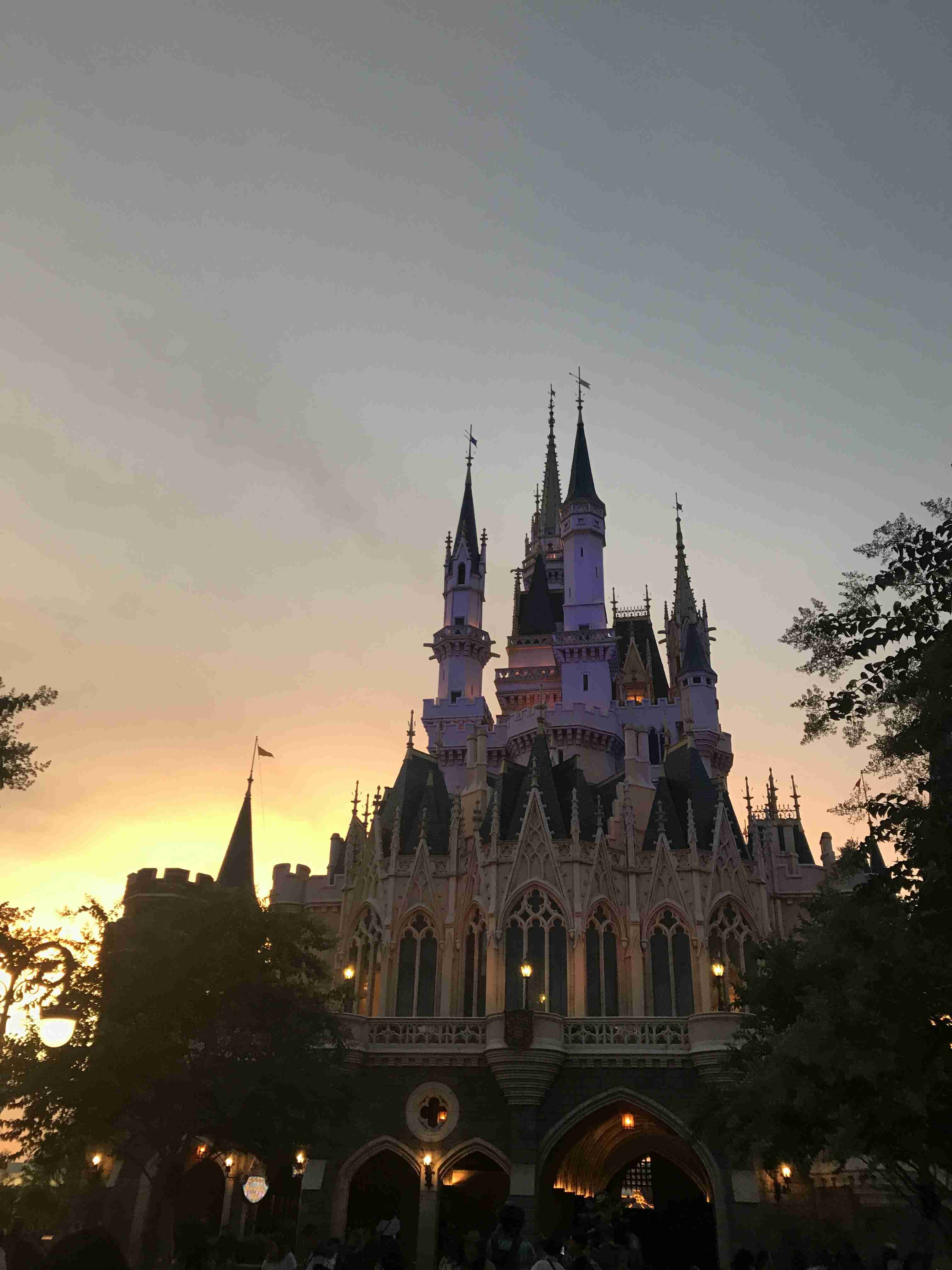 皆さんが撮ったディズニーランド&シーの写真を見せてください