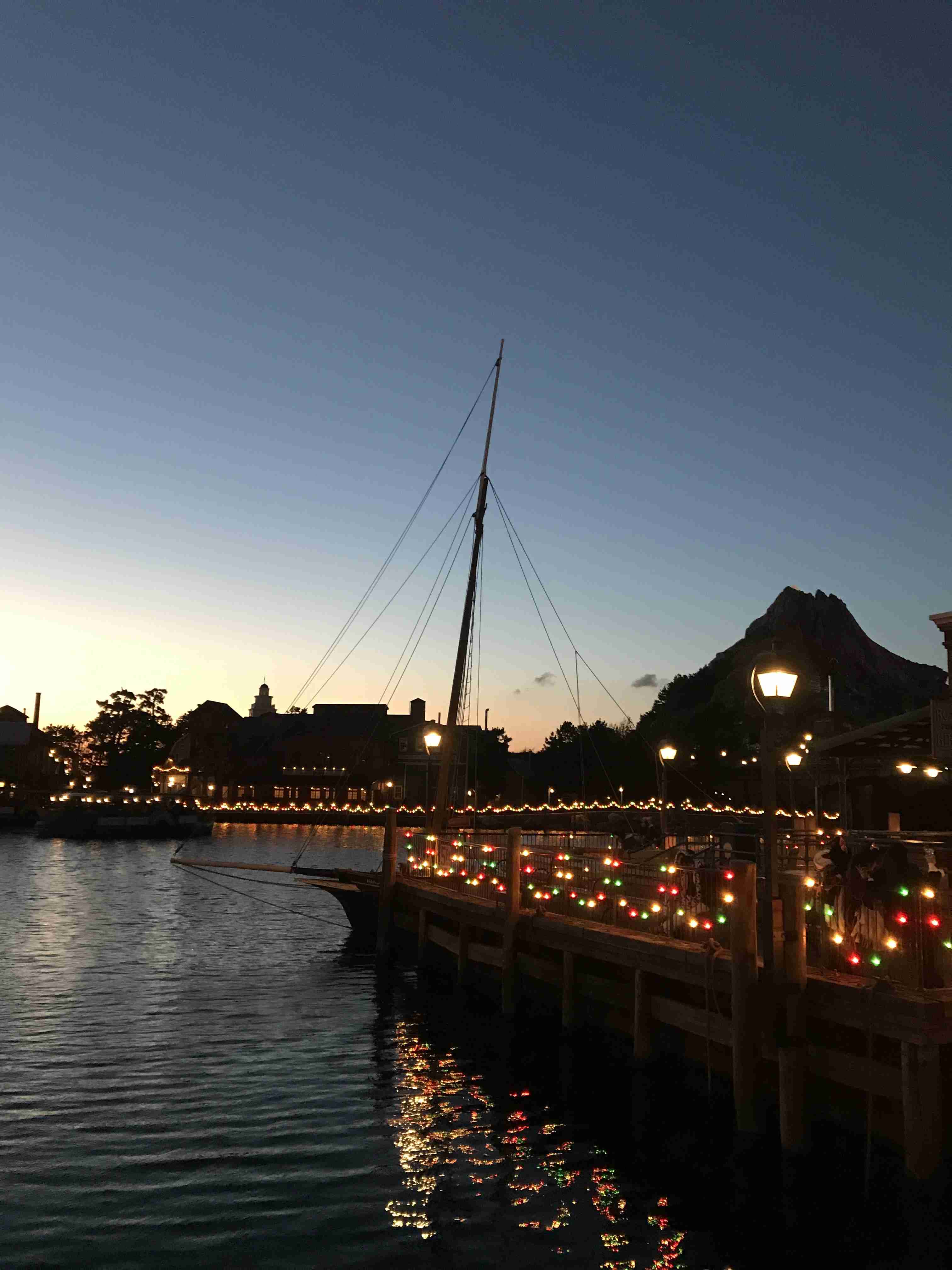 皆さんが撮ったディズニーランド&シーの写真を見せてください