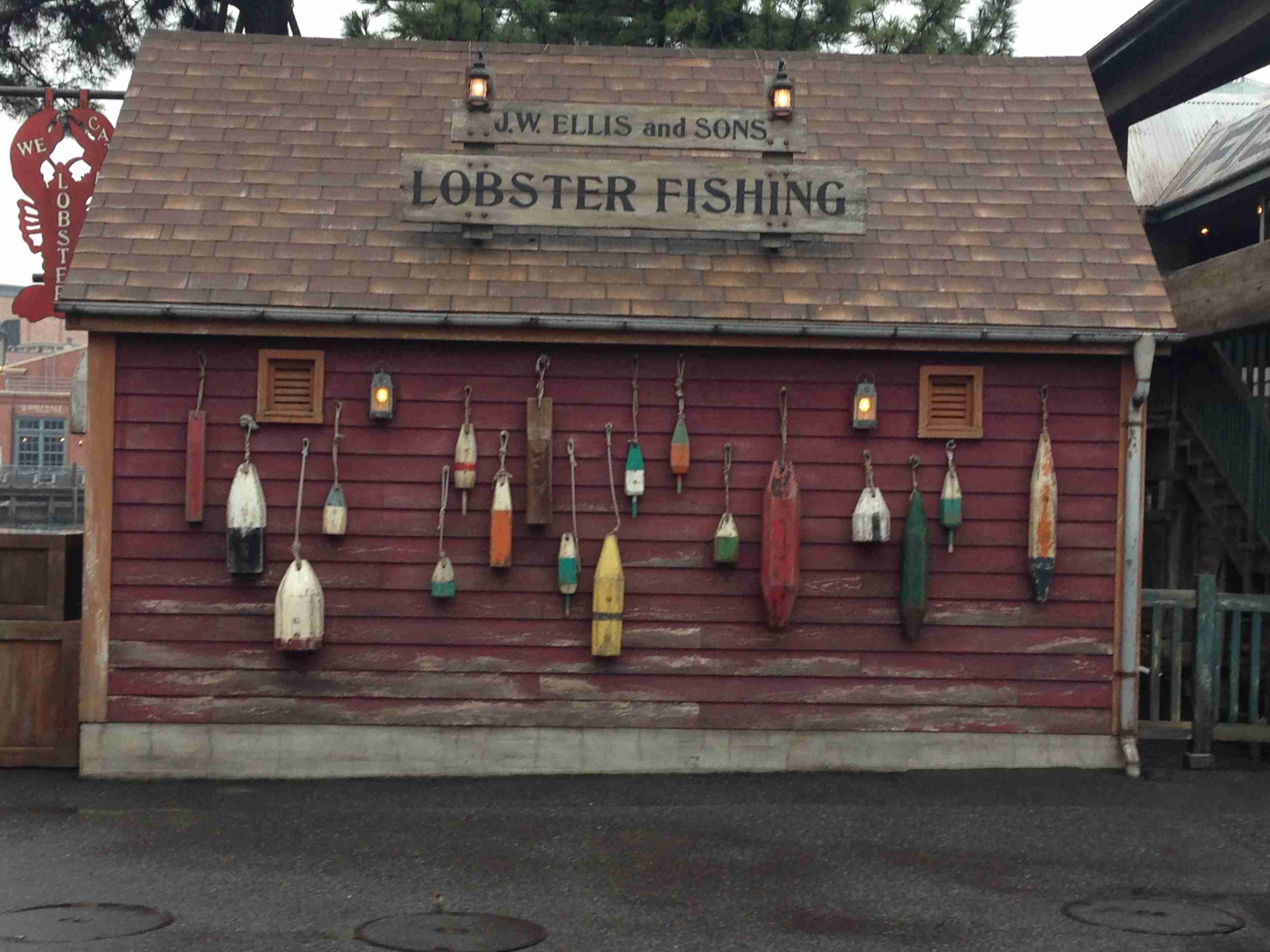 皆さんが撮ったディズニーランド&シーの写真を見せてください