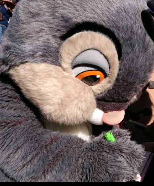 皆さんが撮ったディズニーランド&シーの写真を見せてください