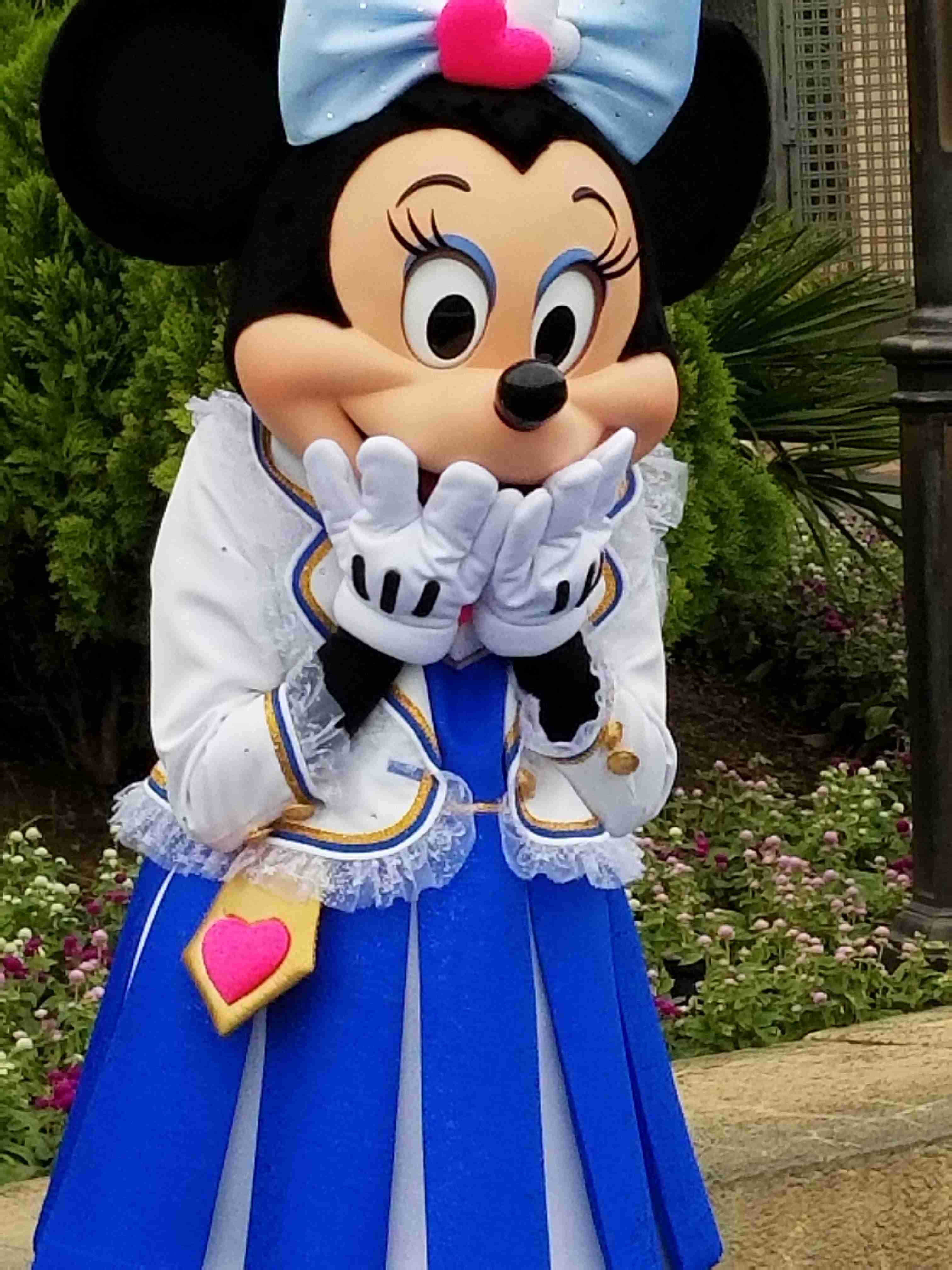 皆さんが撮ったディズニーランド&シーの写真を見せてください