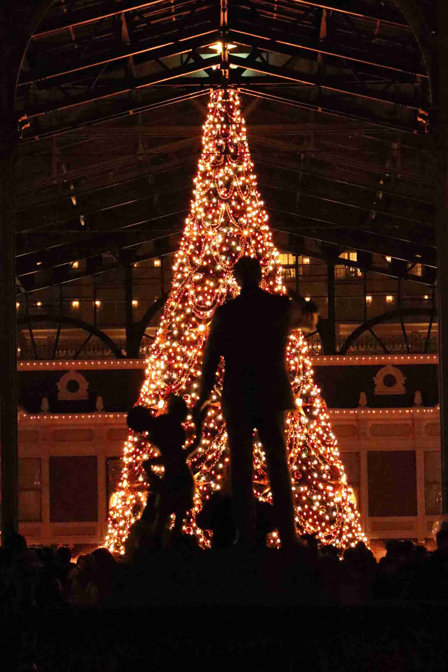 皆さんが撮ったディズニーランド&シーの写真を見せてください