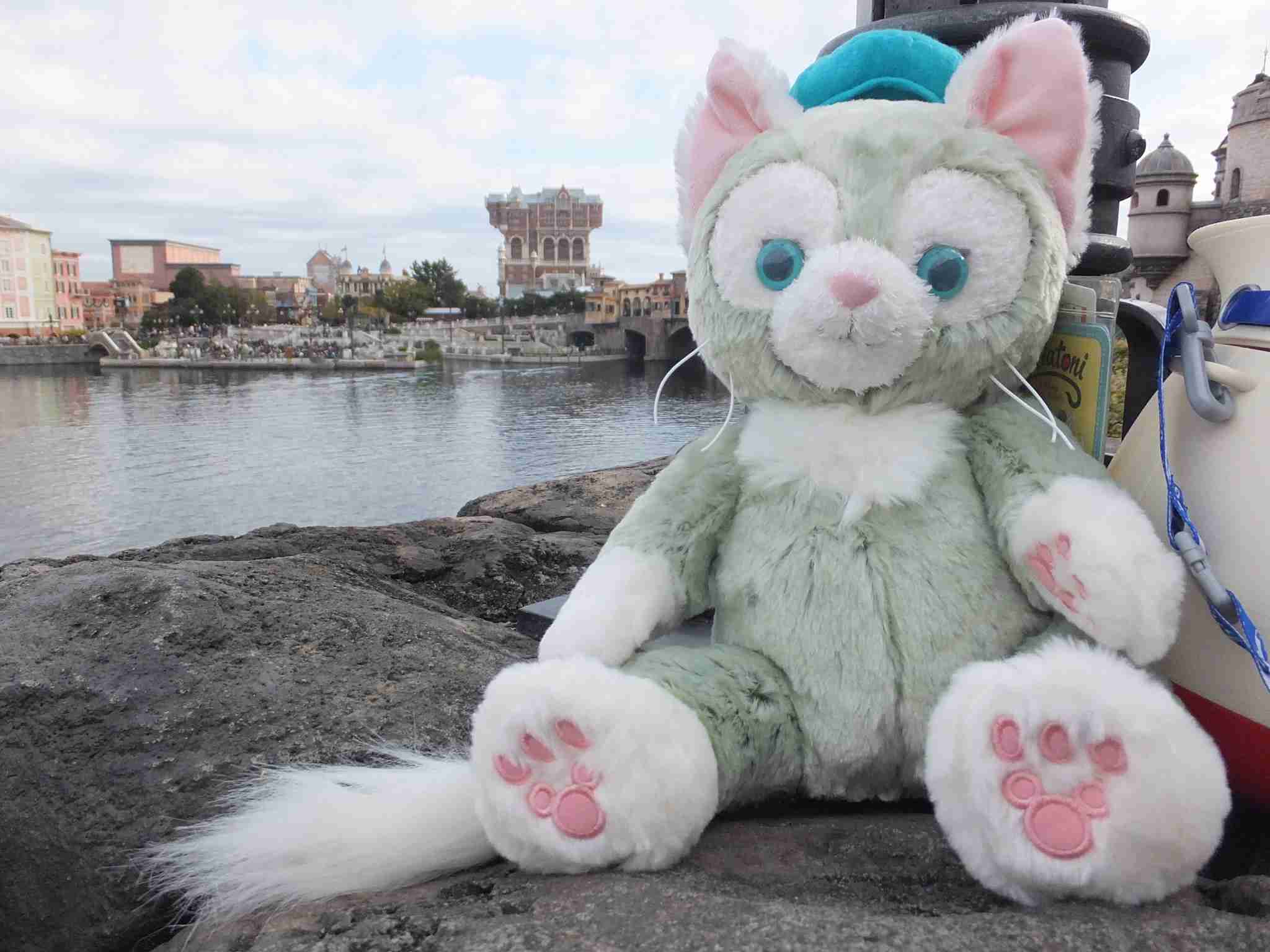 皆さんが撮ったディズニーランド&シーの写真を見せてください