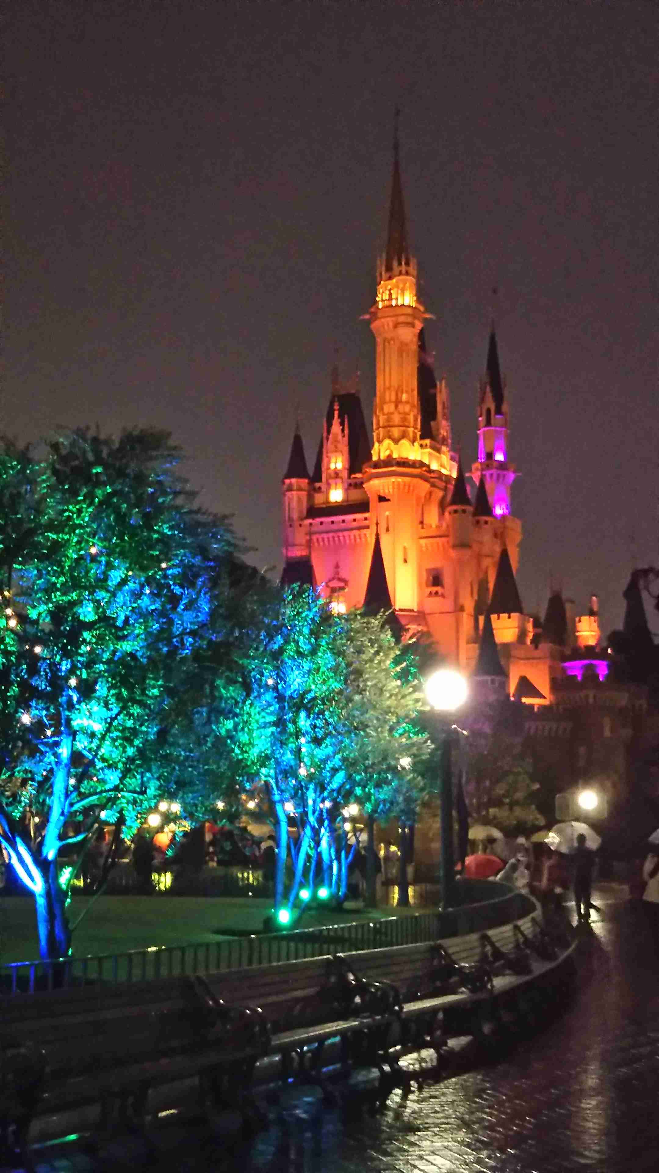 皆さんが撮ったディズニーランド&シーの写真を見せてください