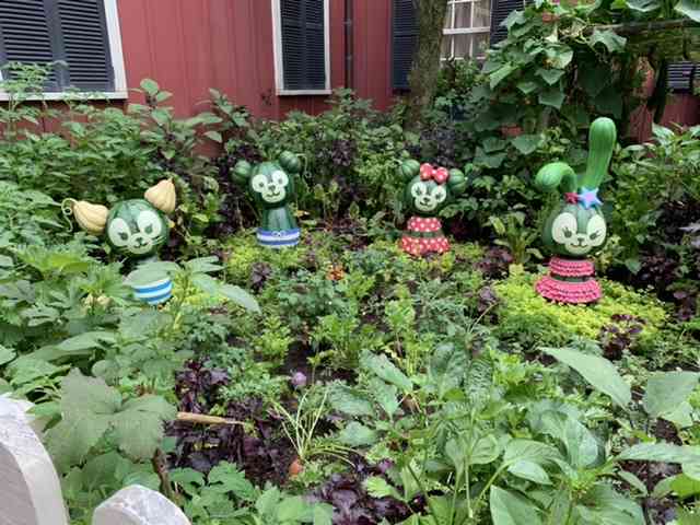 皆さんが撮ったディズニーランド&シーの写真を見せてください