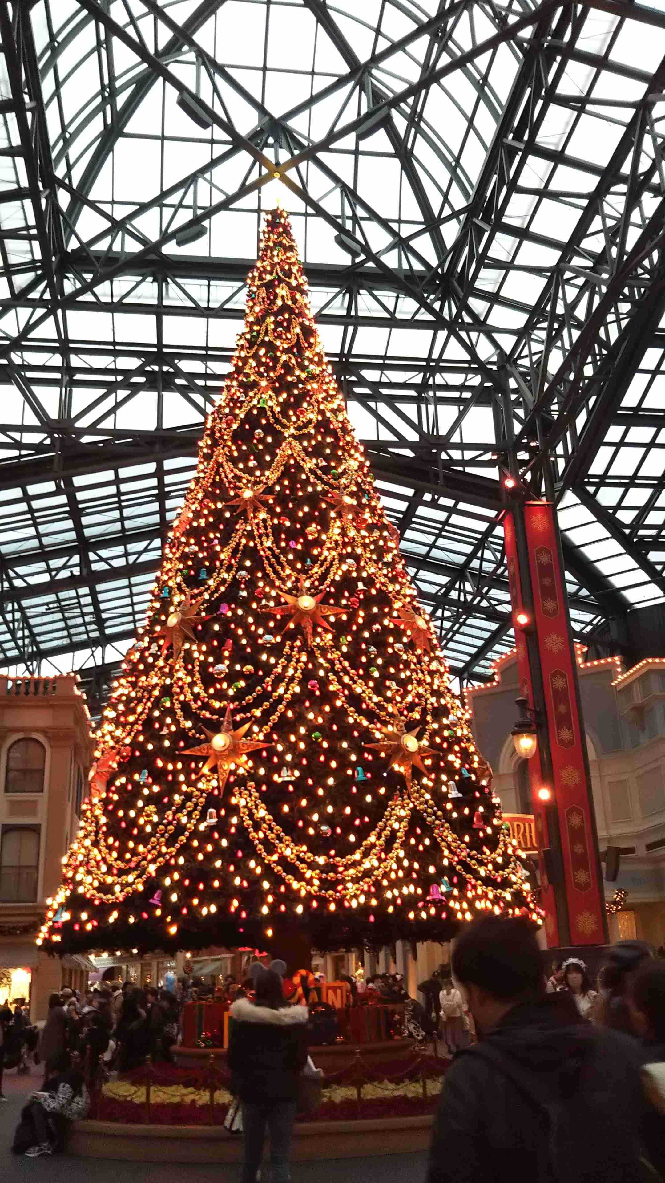 皆さんが撮ったディズニーランド&シーの写真を見せてください