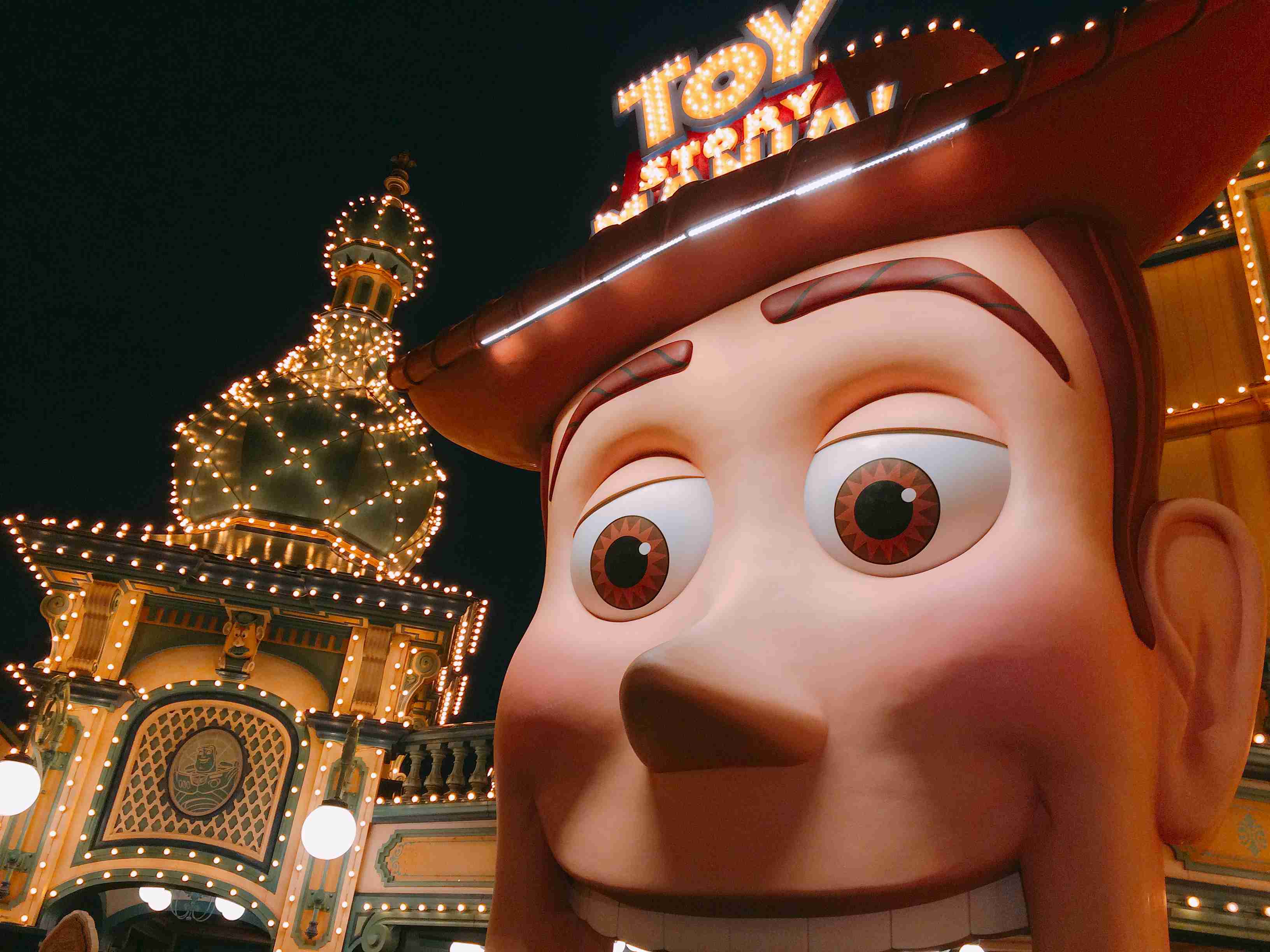 皆さんが撮ったディズニーランド&シーの写真を見せてください