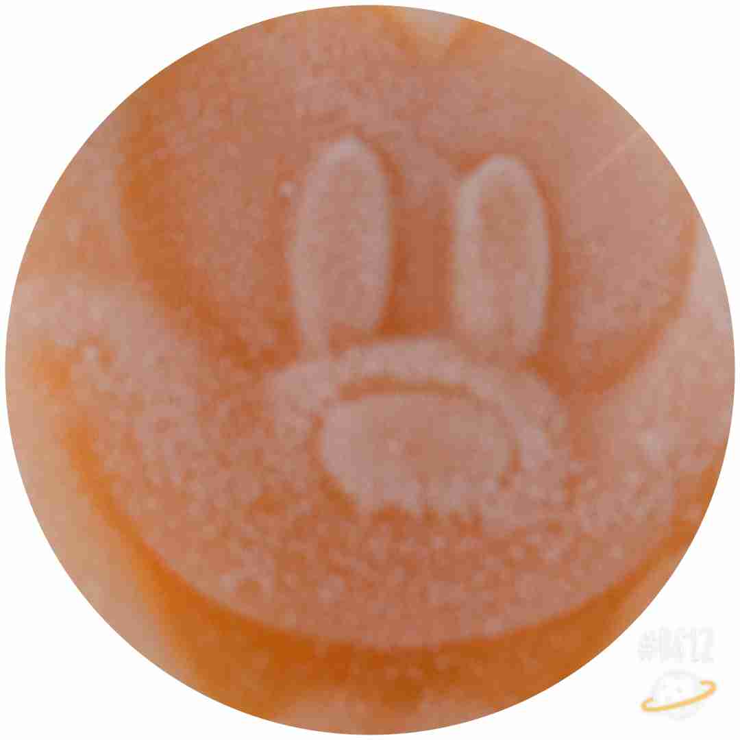 皆さんが撮ったディズニーランド&シーの写真を見せてください