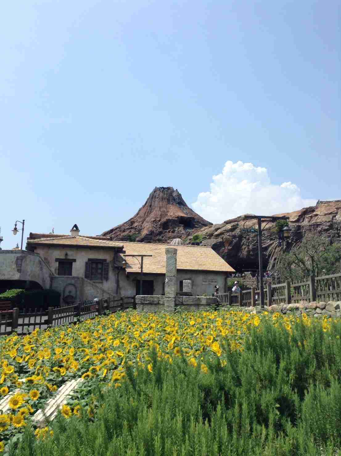 皆さんが撮ったディズニーランド&シーの写真を見せてください