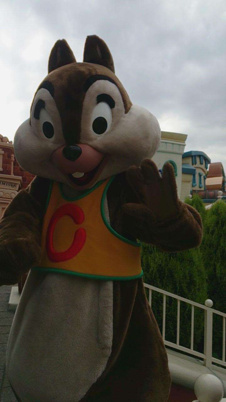 皆さんが撮ったディズニーランド&シーの写真を見せてください