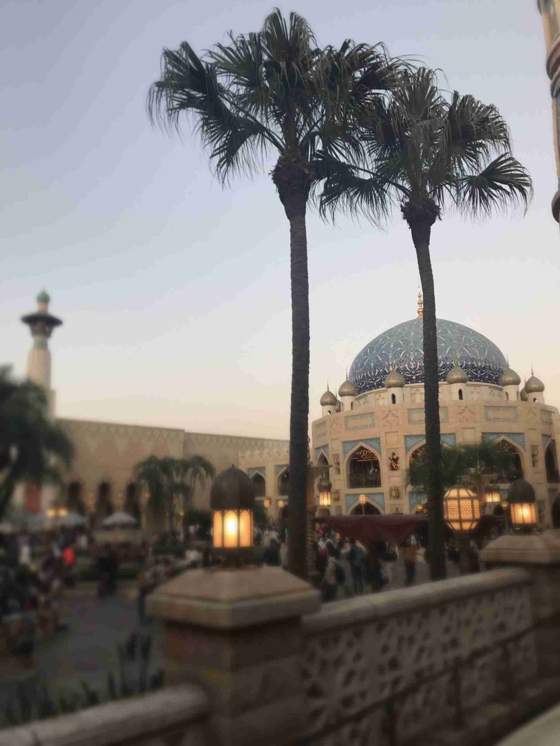 皆さんが撮ったディズニーランド&シーの写真を見せてください