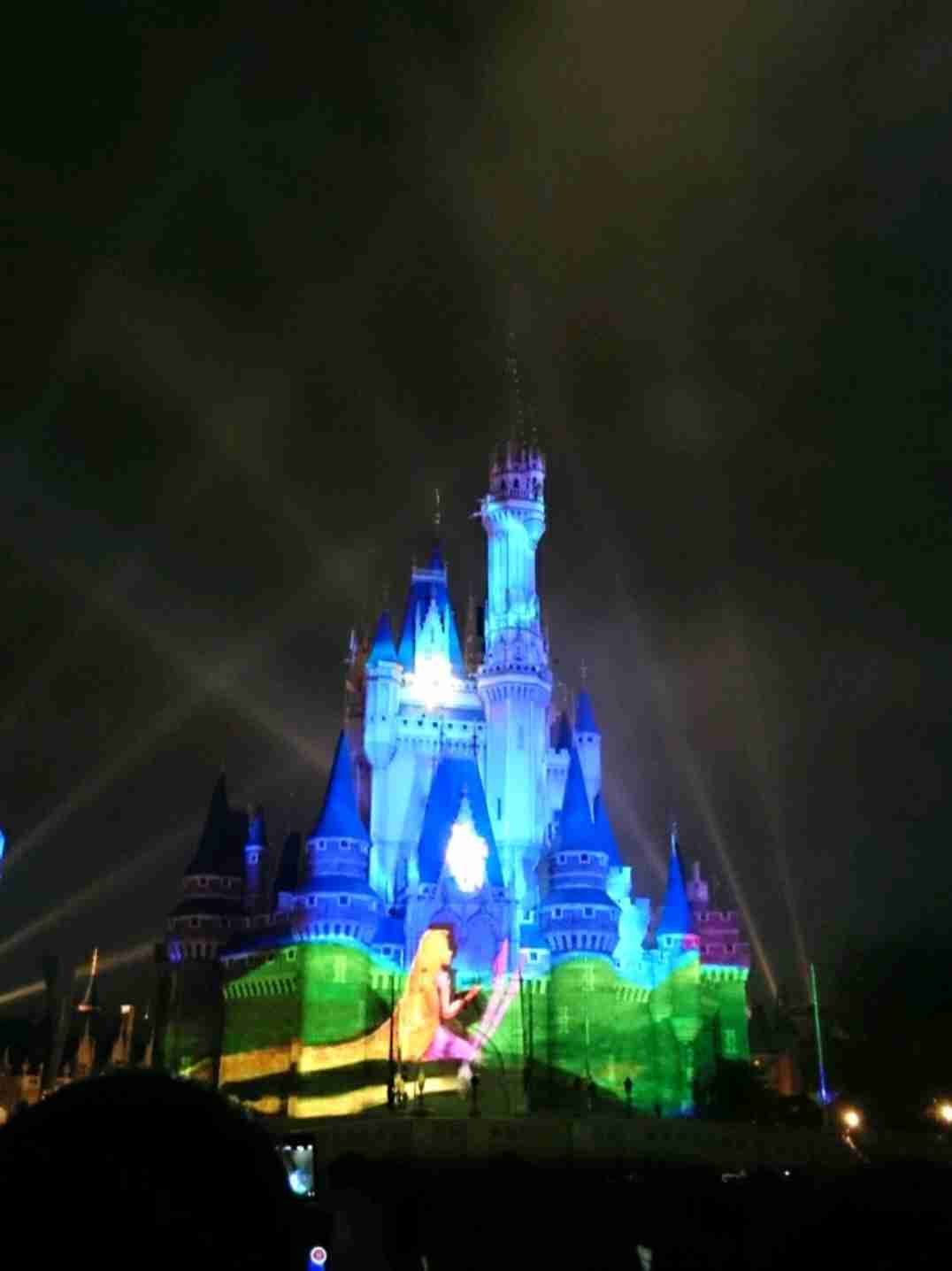 皆さんが撮ったディズニーランド&シーの写真を見せてください