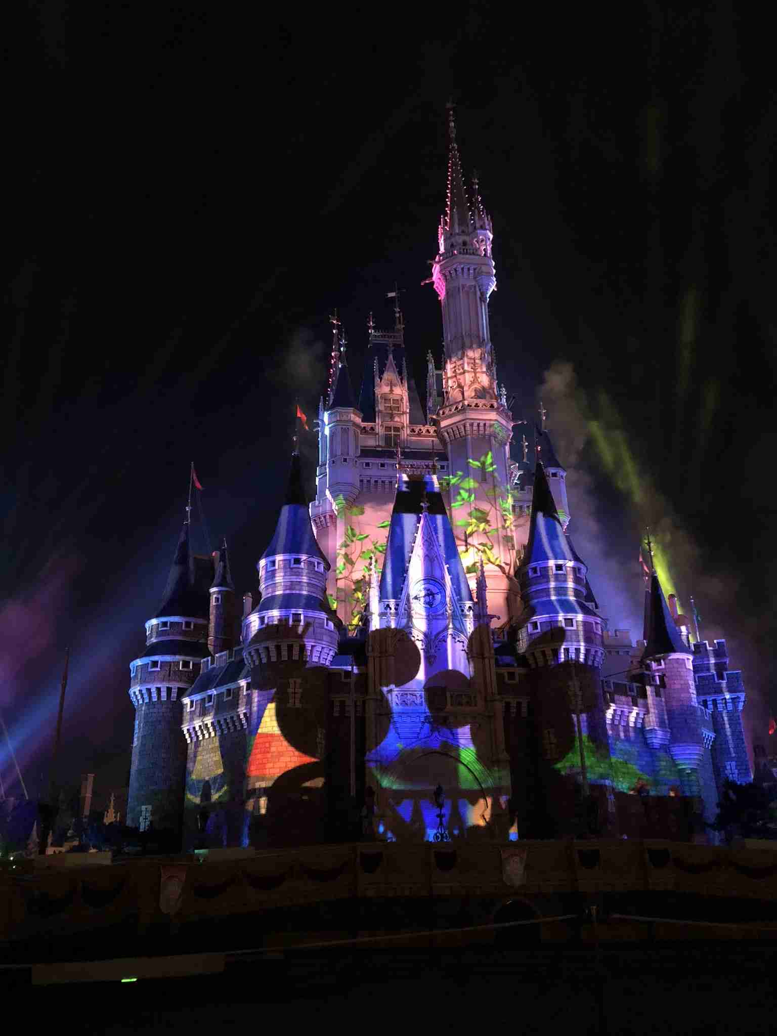 皆さんが撮ったディズニーランド&シーの写真を見せてください