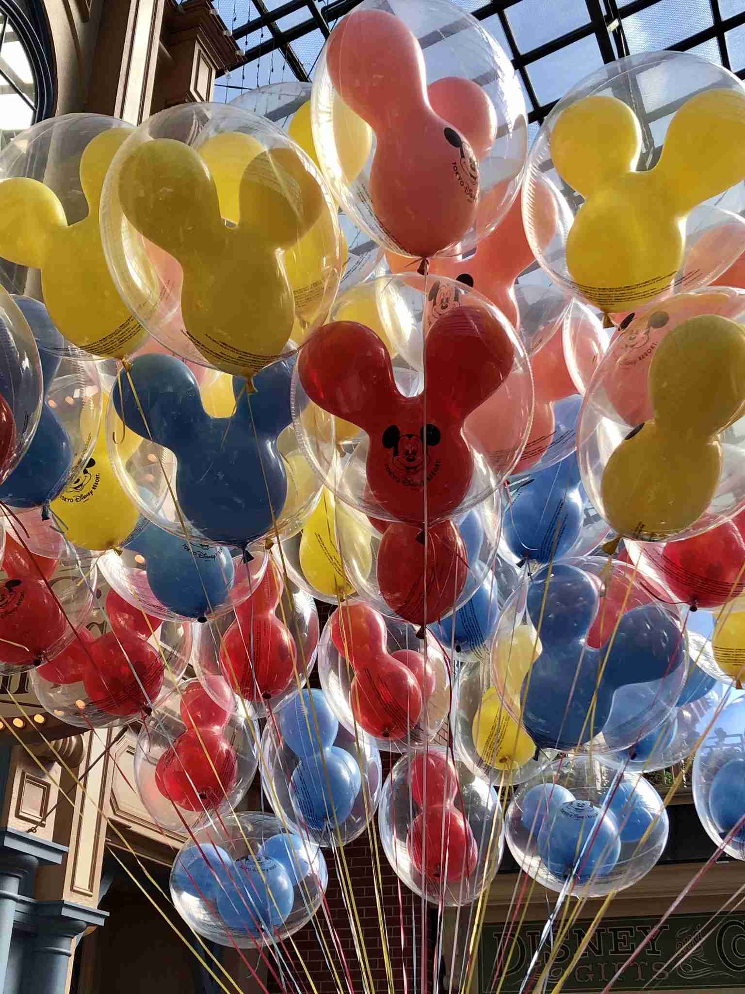 皆さんが撮ったディズニーランド&シーの写真を見せてください