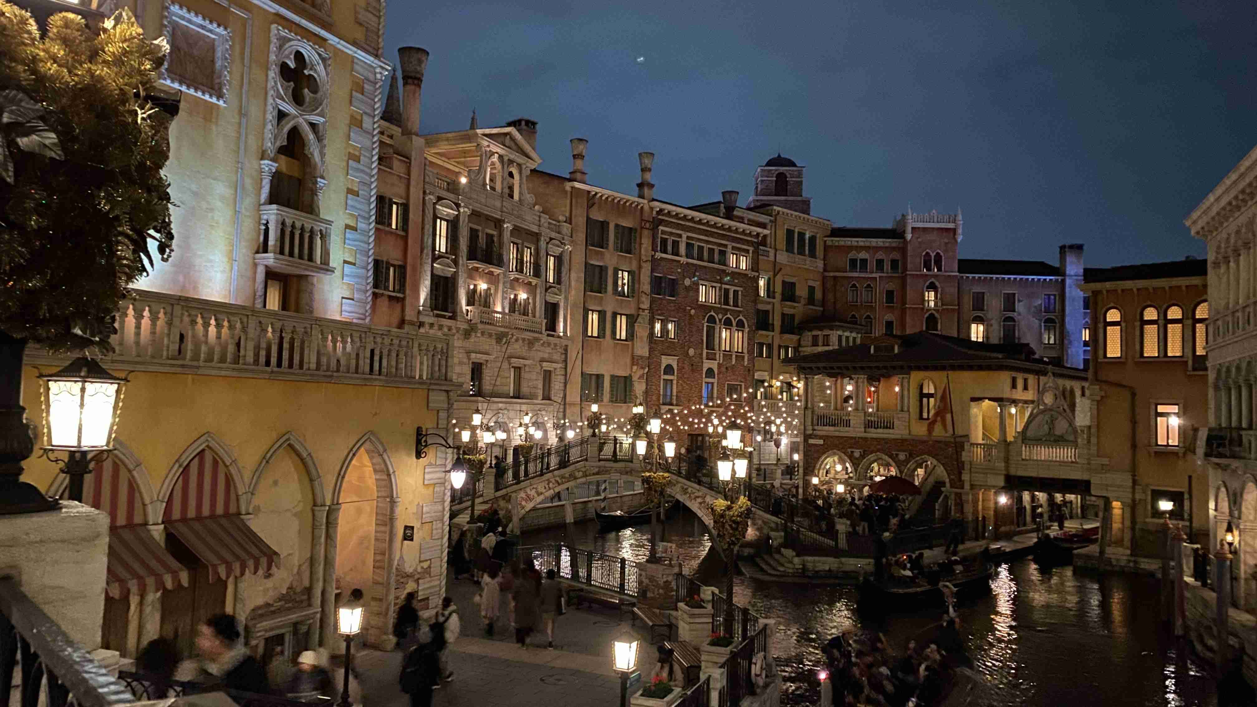 皆さんが撮ったディズニーランド&シーの写真を見せてください