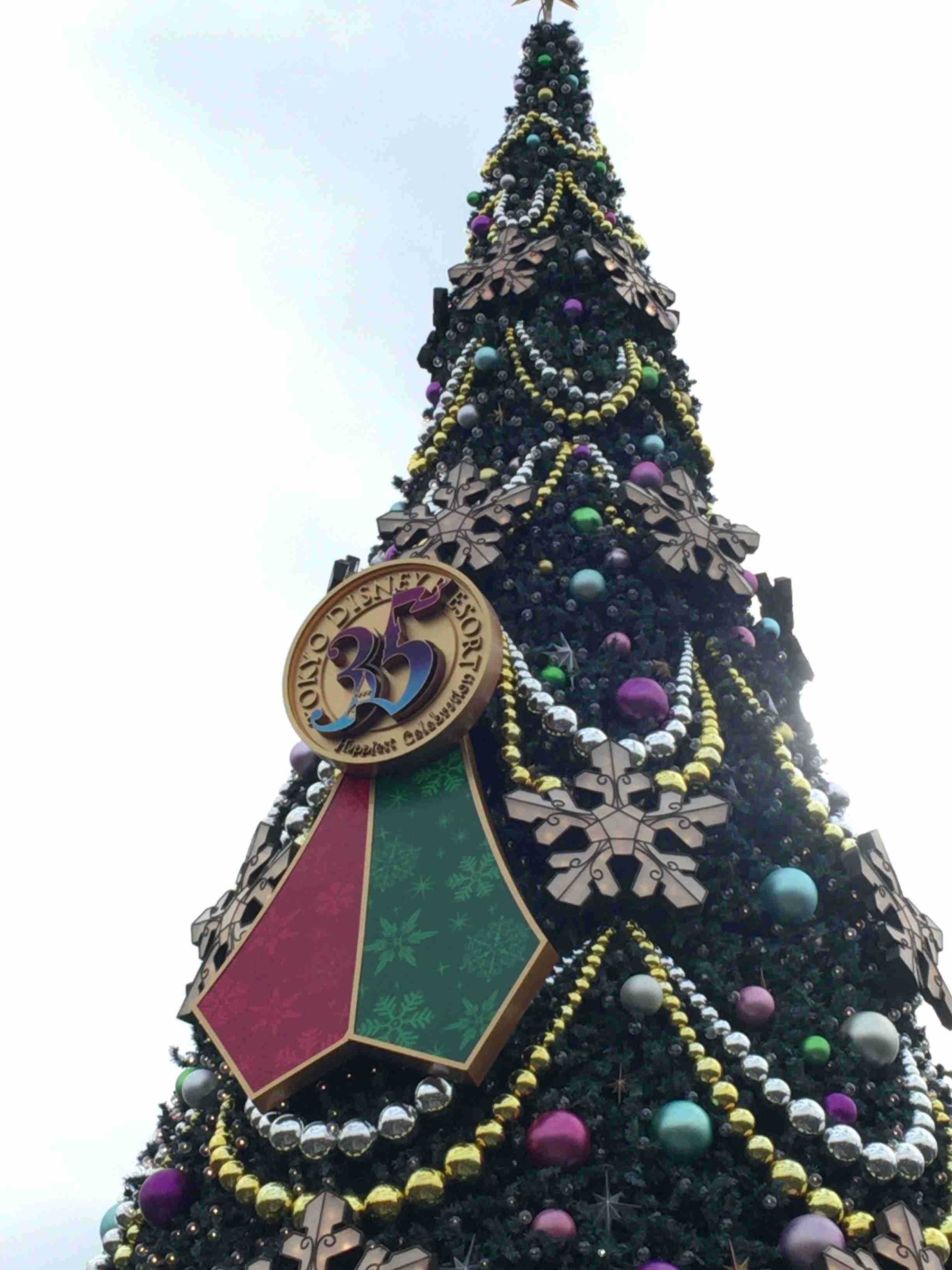 皆さんが撮ったディズニーランド&シーの写真を見せてください