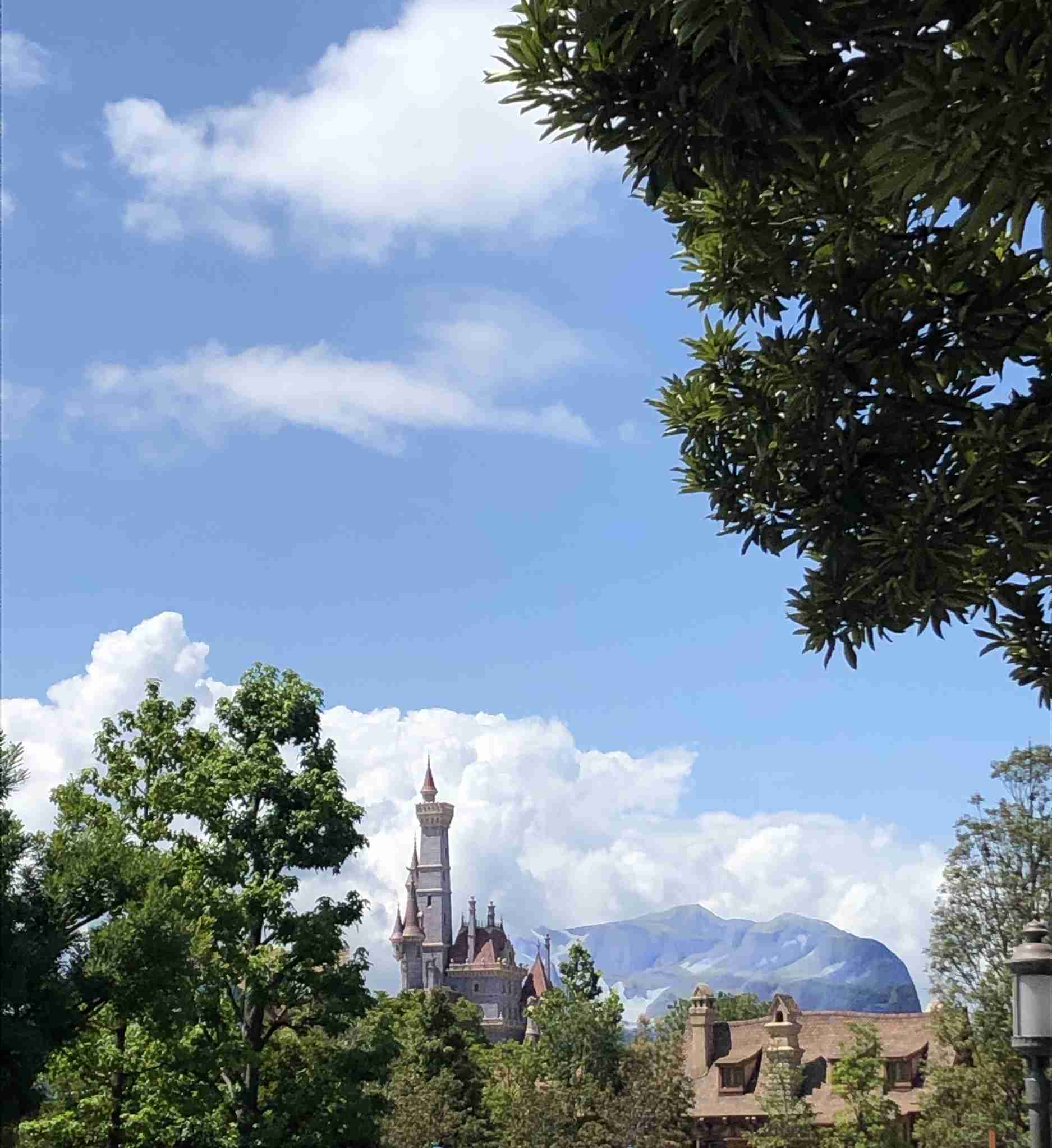 皆さんが撮ったディズニーランド&シーの写真を見せてください