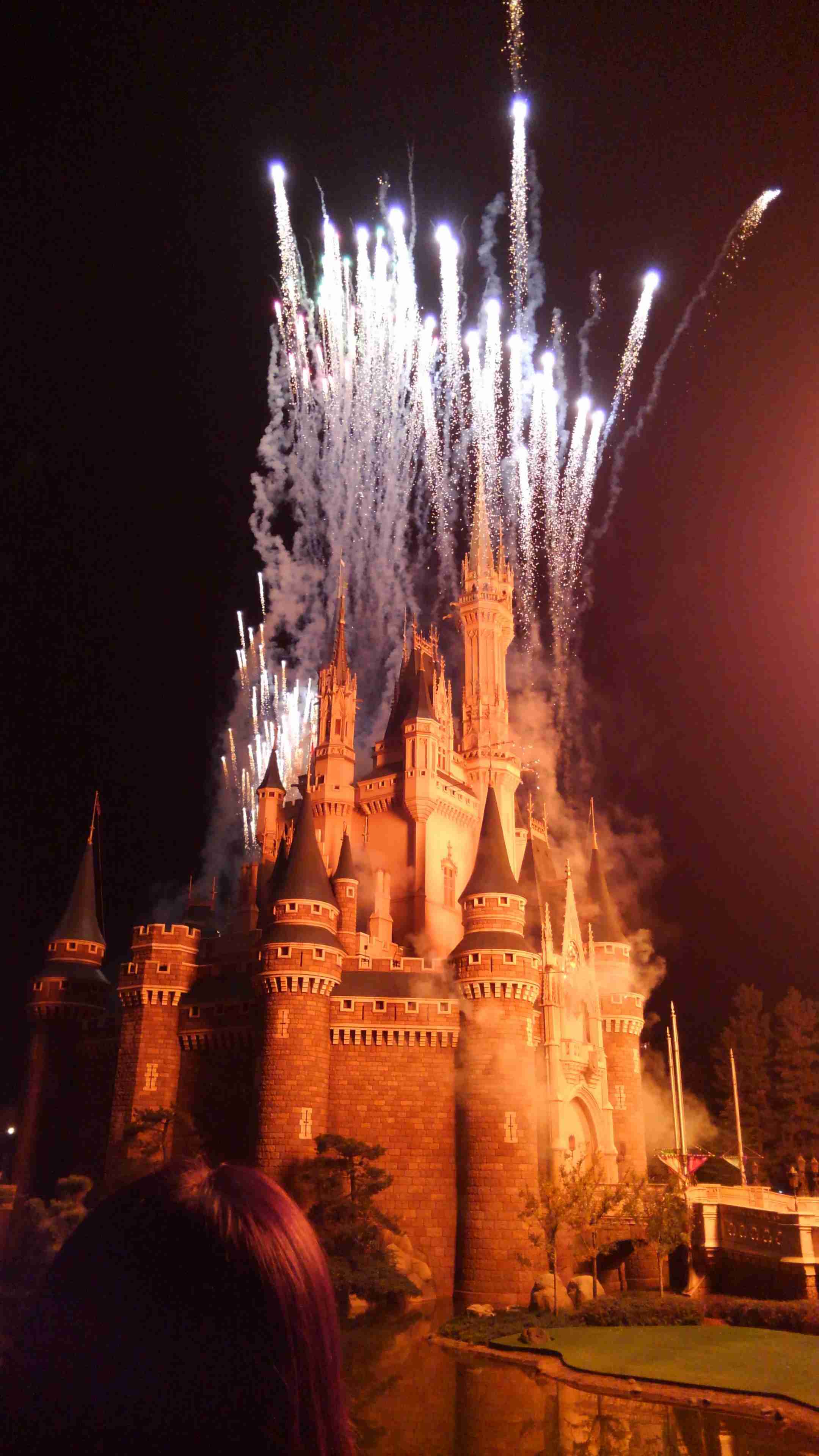 皆さんが撮ったディズニーランド&シーの写真を見せてください