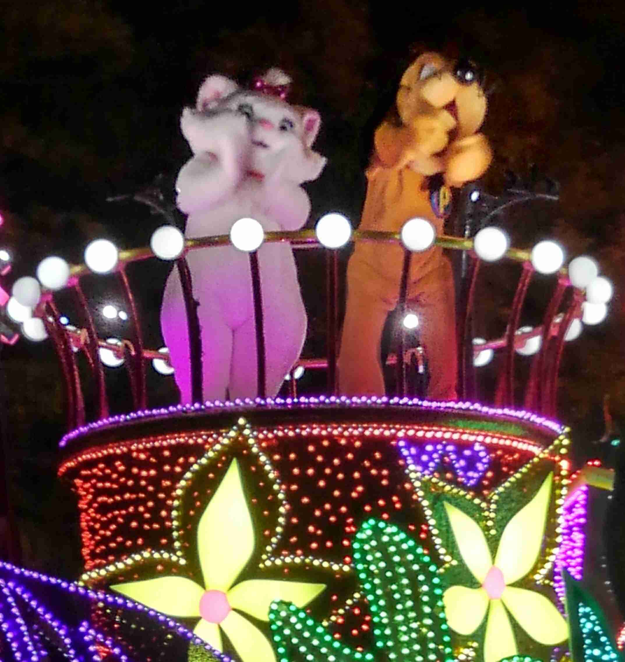 皆さんが撮ったディズニーランド&シーの写真を見せてください