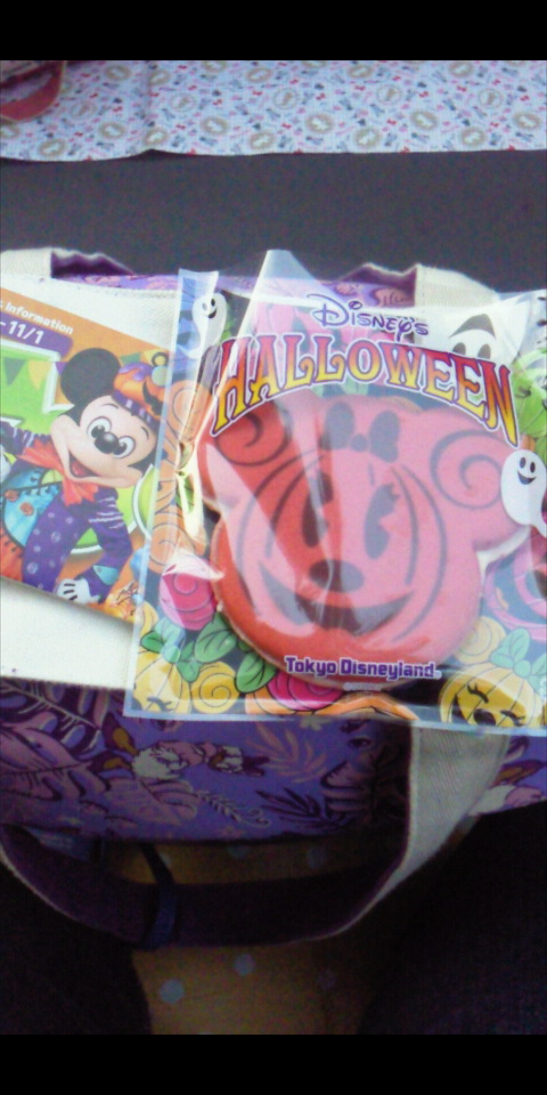 皆さんが撮ったディズニーランド&シーの写真を見せてください