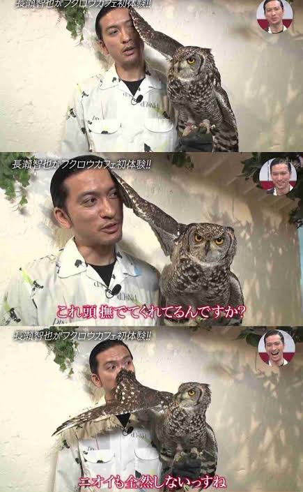 楽しそうな芸能人の写真part2