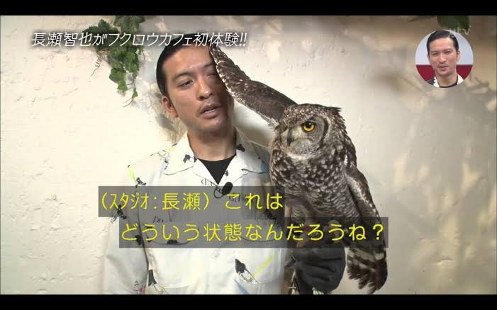 楽しそうな芸能人の写真part2