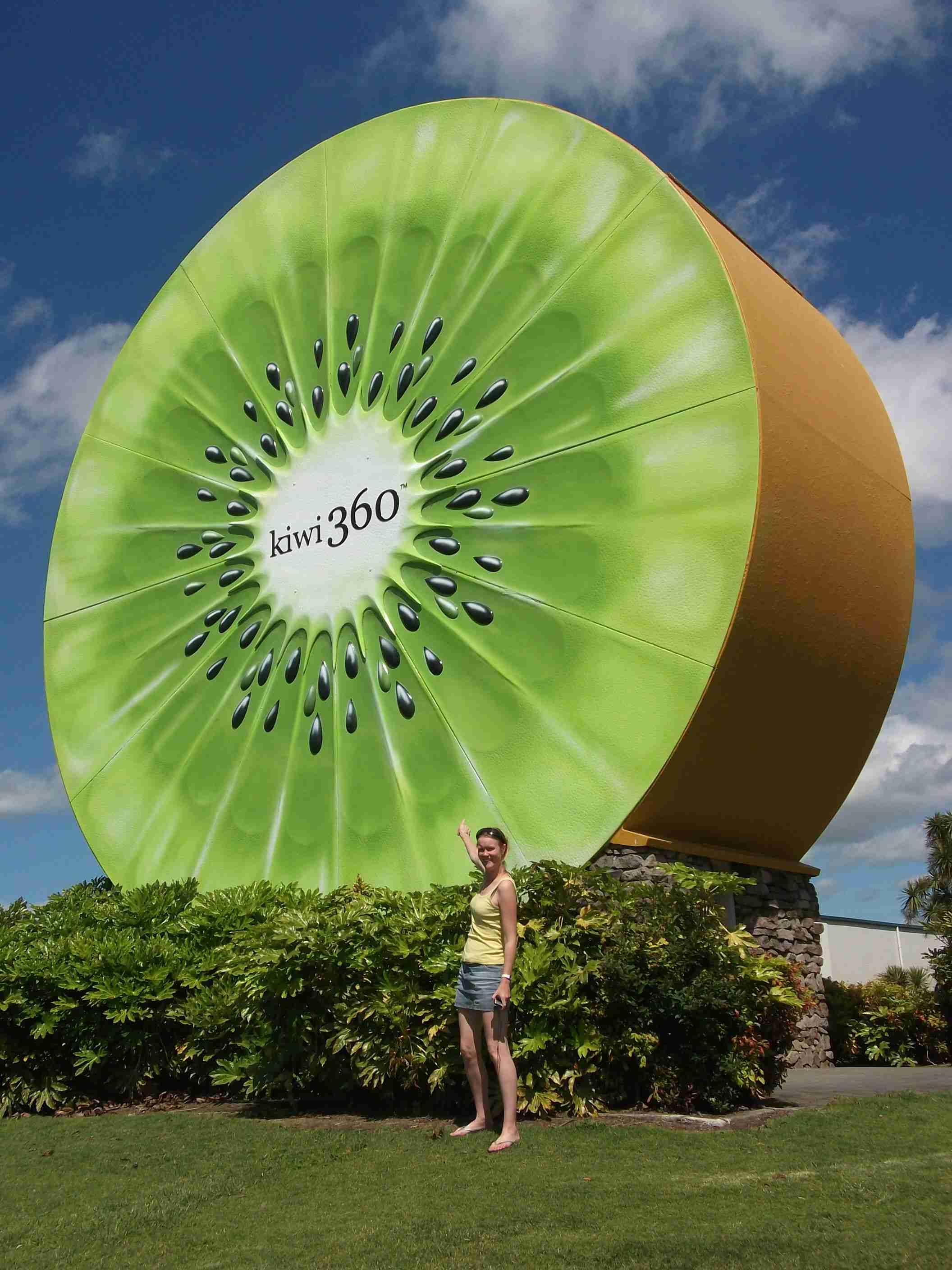 キウイ好きな人🥝