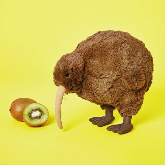 キウイ好きな人🥝