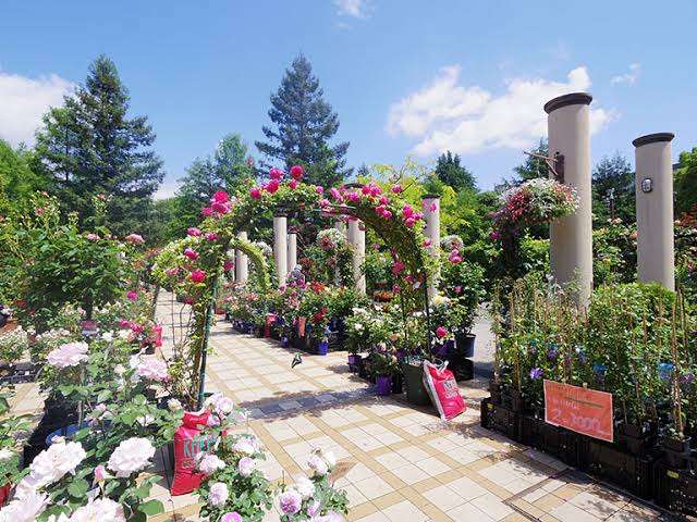 名古屋のオススメを教えてください!