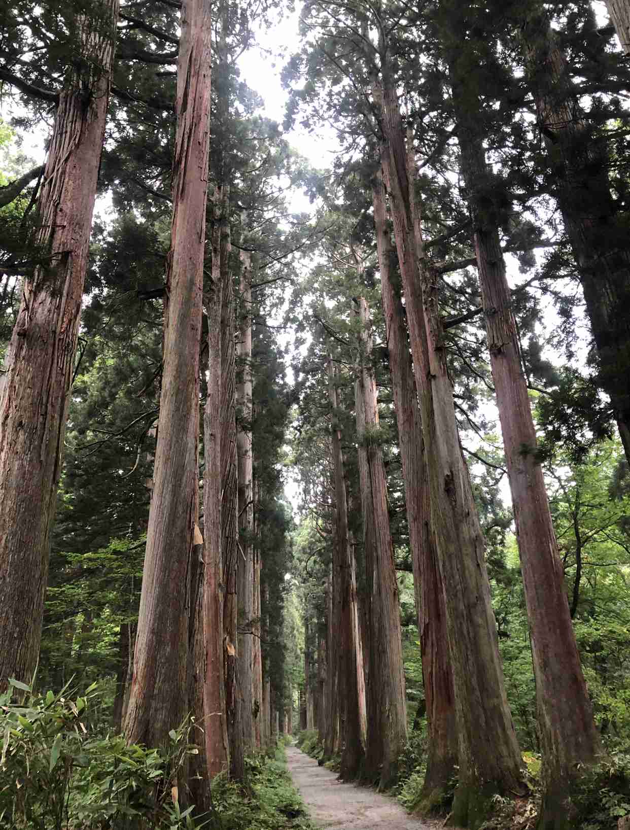 長野県のおすすめスポット教えて