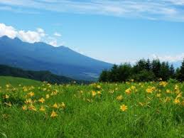 長野県のおすすめスポット教えて
