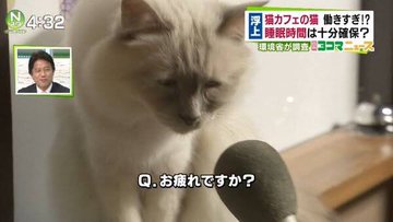 落ち込む動物たち