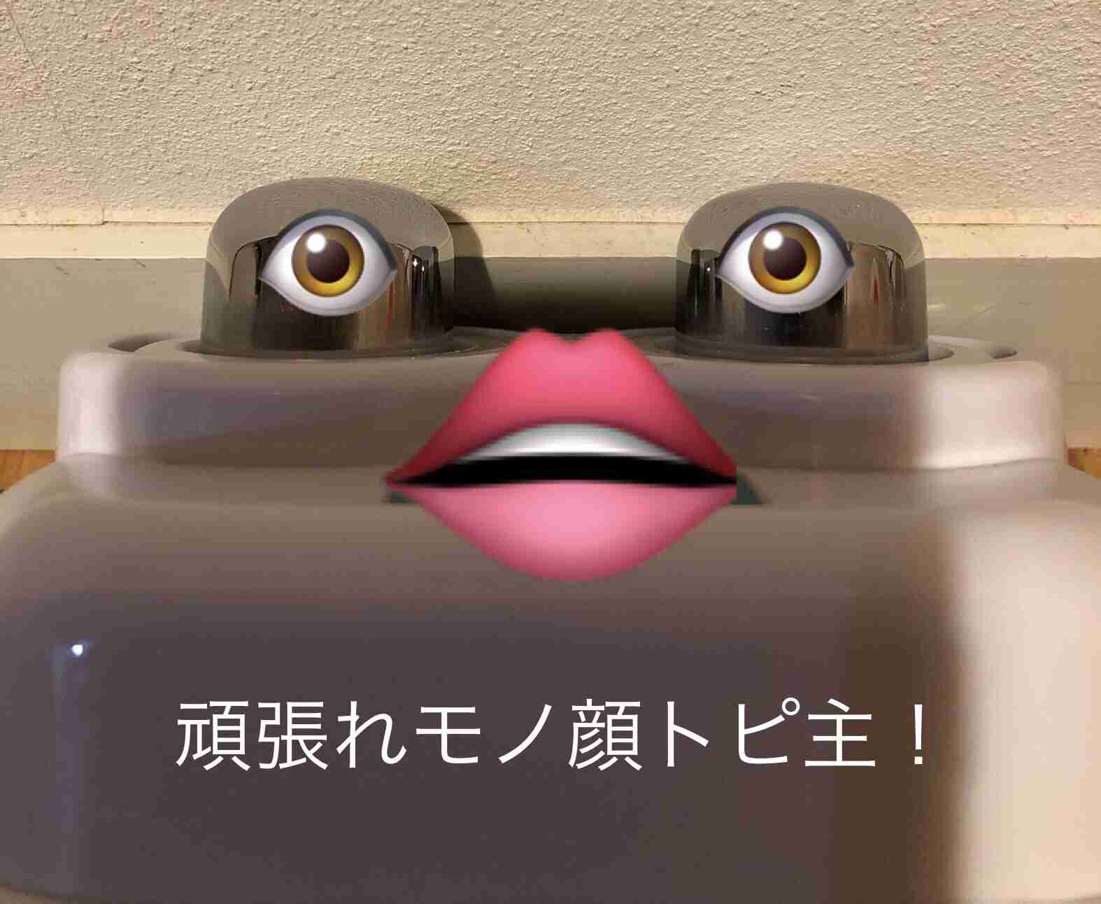 ものに顔を描いてひと言どうぞ