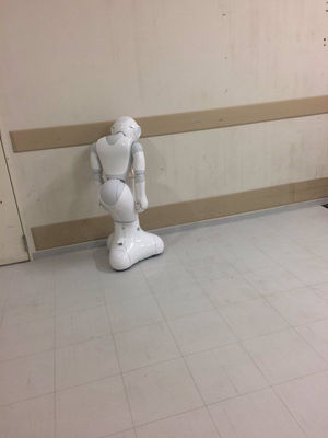 はま寿司の店頭から「ペッパー」が消えた　2年前は受付担当で大活躍だったのに