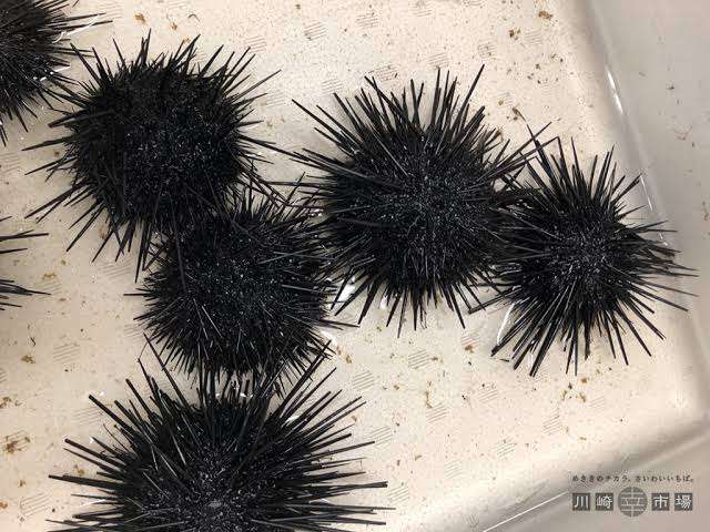 家で走り回る子供の止め方