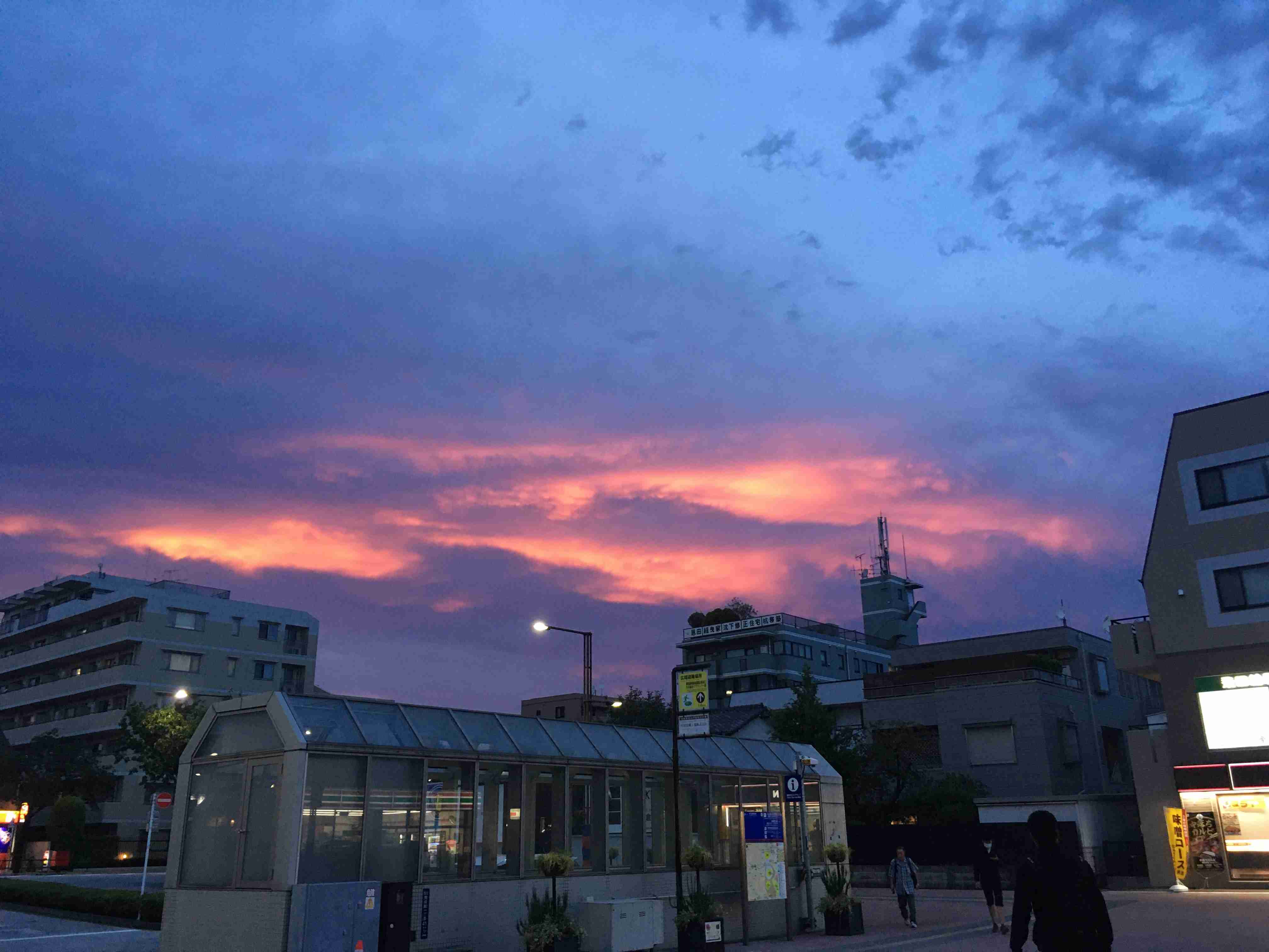 スマホに保存している一番新しい画像を見せてください